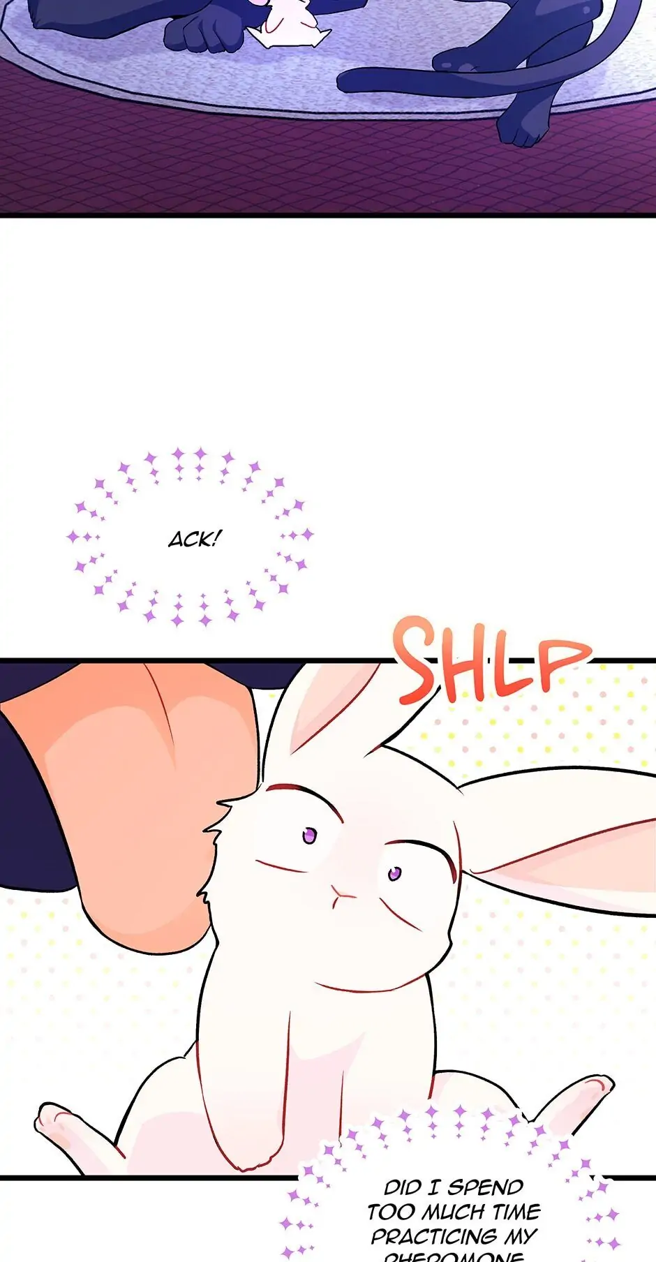 Read The Symbiotic Relationship Between the Rabbit and the Black Panther En Manga Online