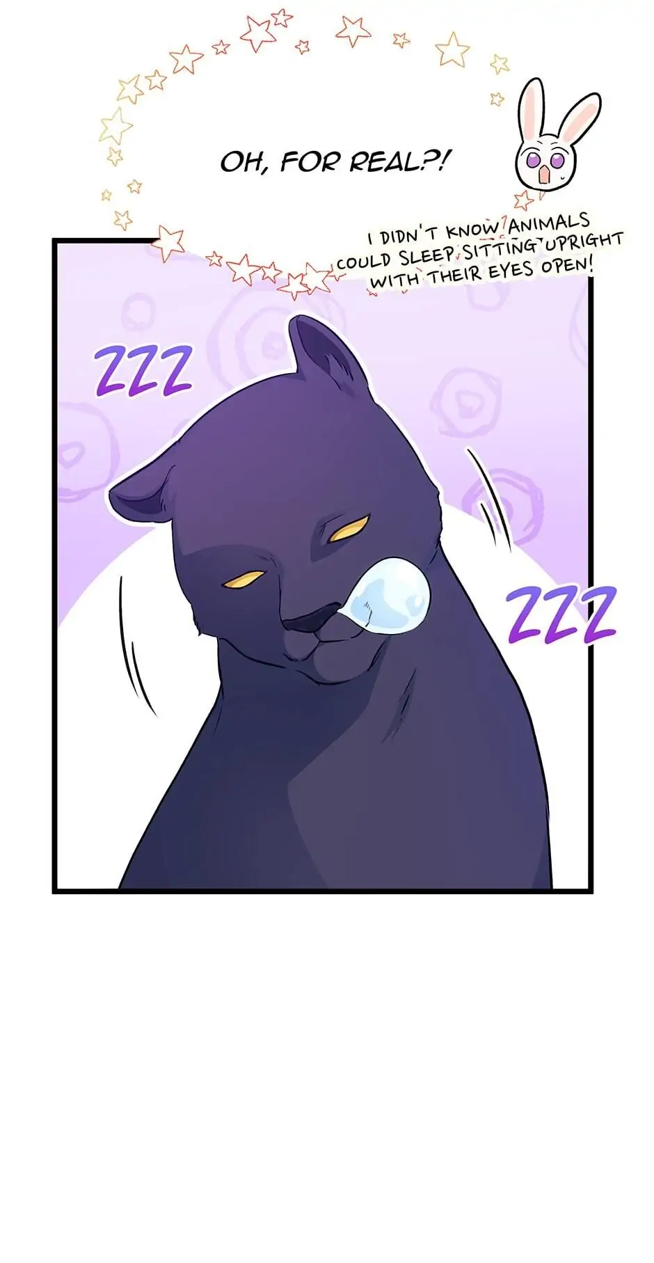 Read The Symbiotic Relationship Between the Rabbit and the Black Panther En Manga Online