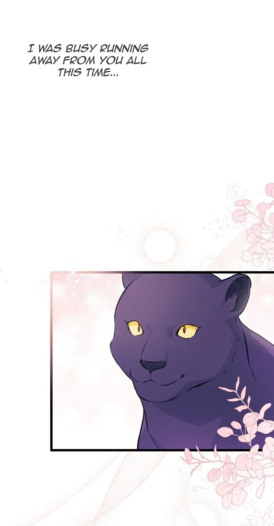 Read The Symbiotic Relationship Between the Rabbit and the Black Panther En Manga Online