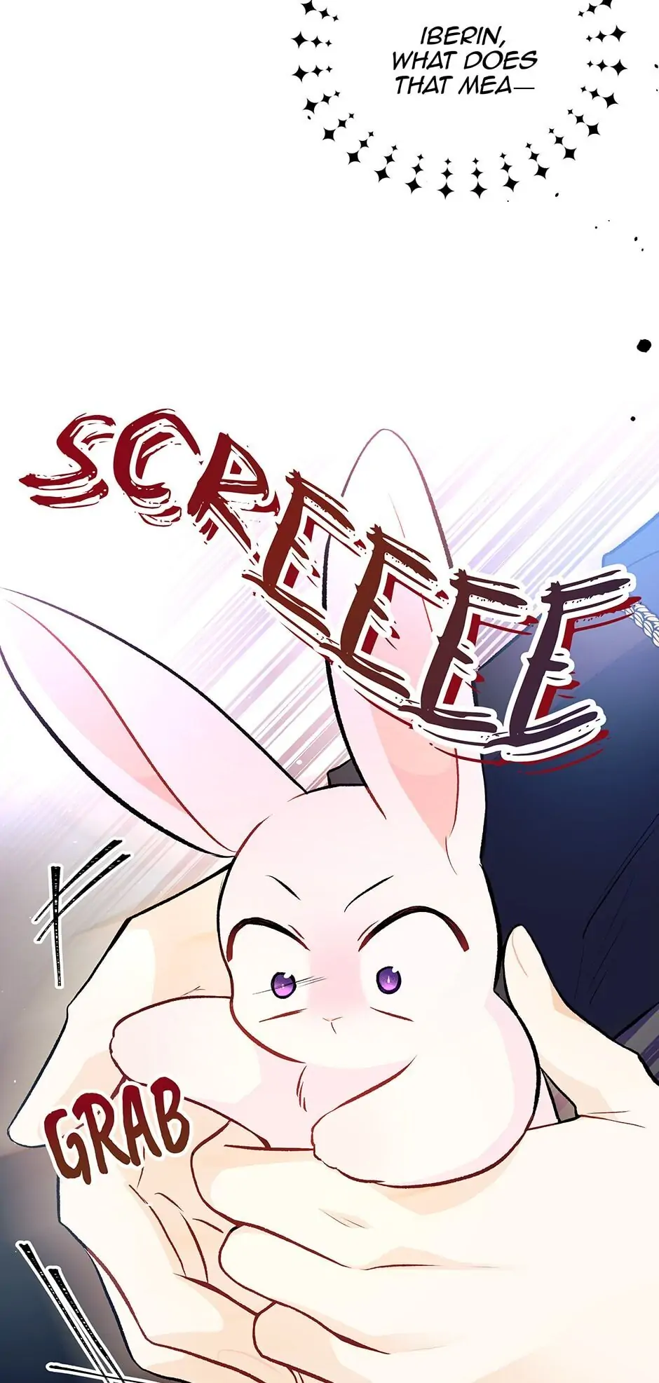 Read The Symbiotic Relationship Between the Rabbit and the Black Panther En Manga Online