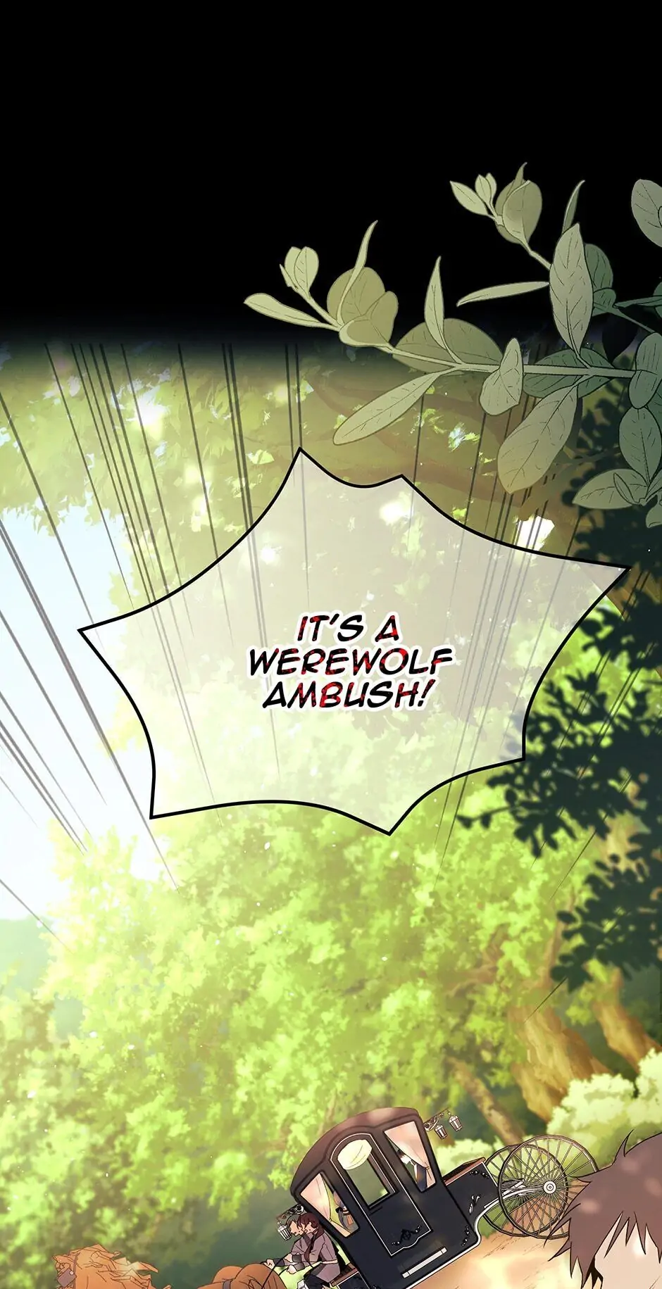 Read The Symbiotic Relationship Between the Rabbit and the Black Panther En Manga Online
