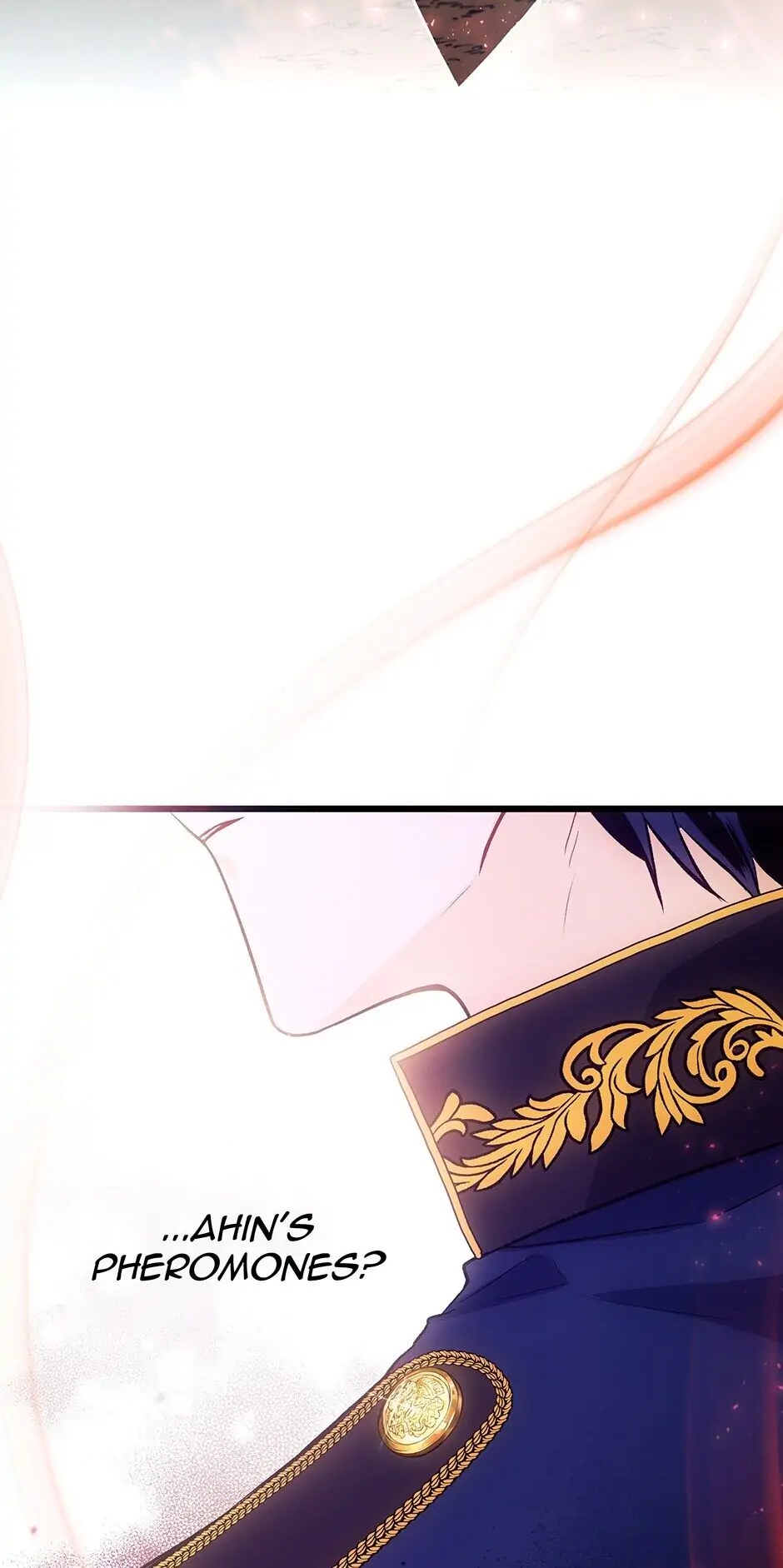 Read The Symbiotic Relationship Between the Rabbit and the Black Panther En Manga Online