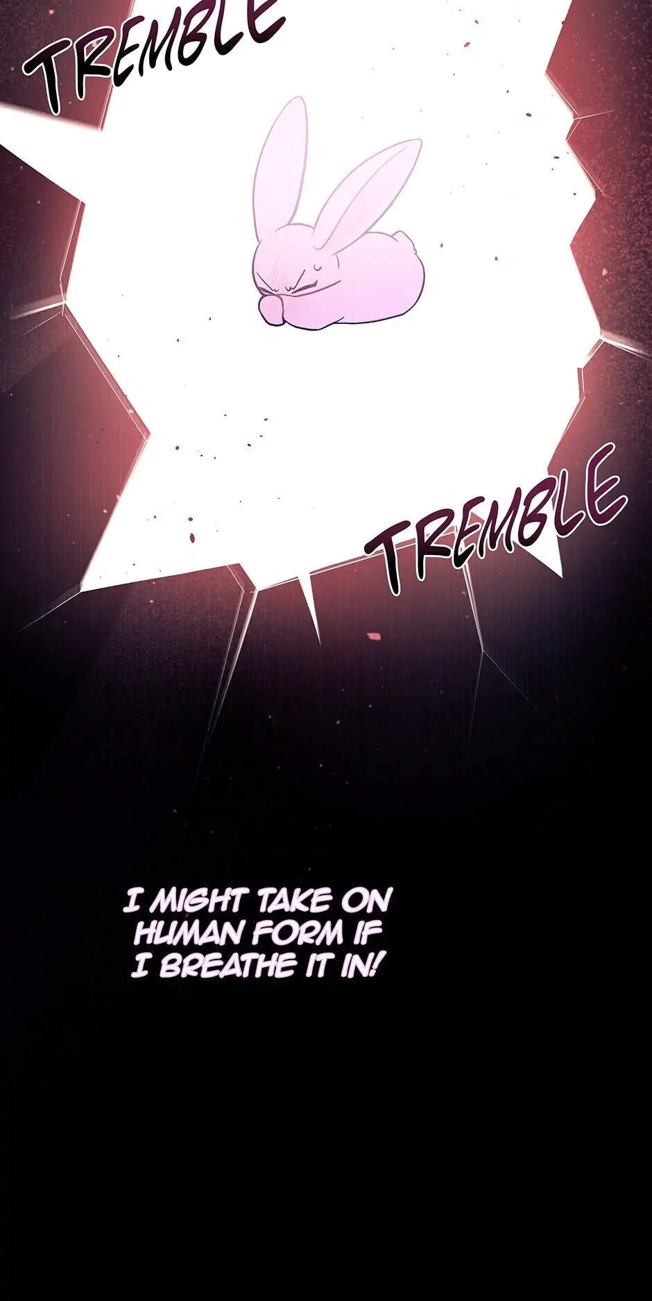 Read The Symbiotic Relationship Between the Rabbit and the Black Panther En Manga Online