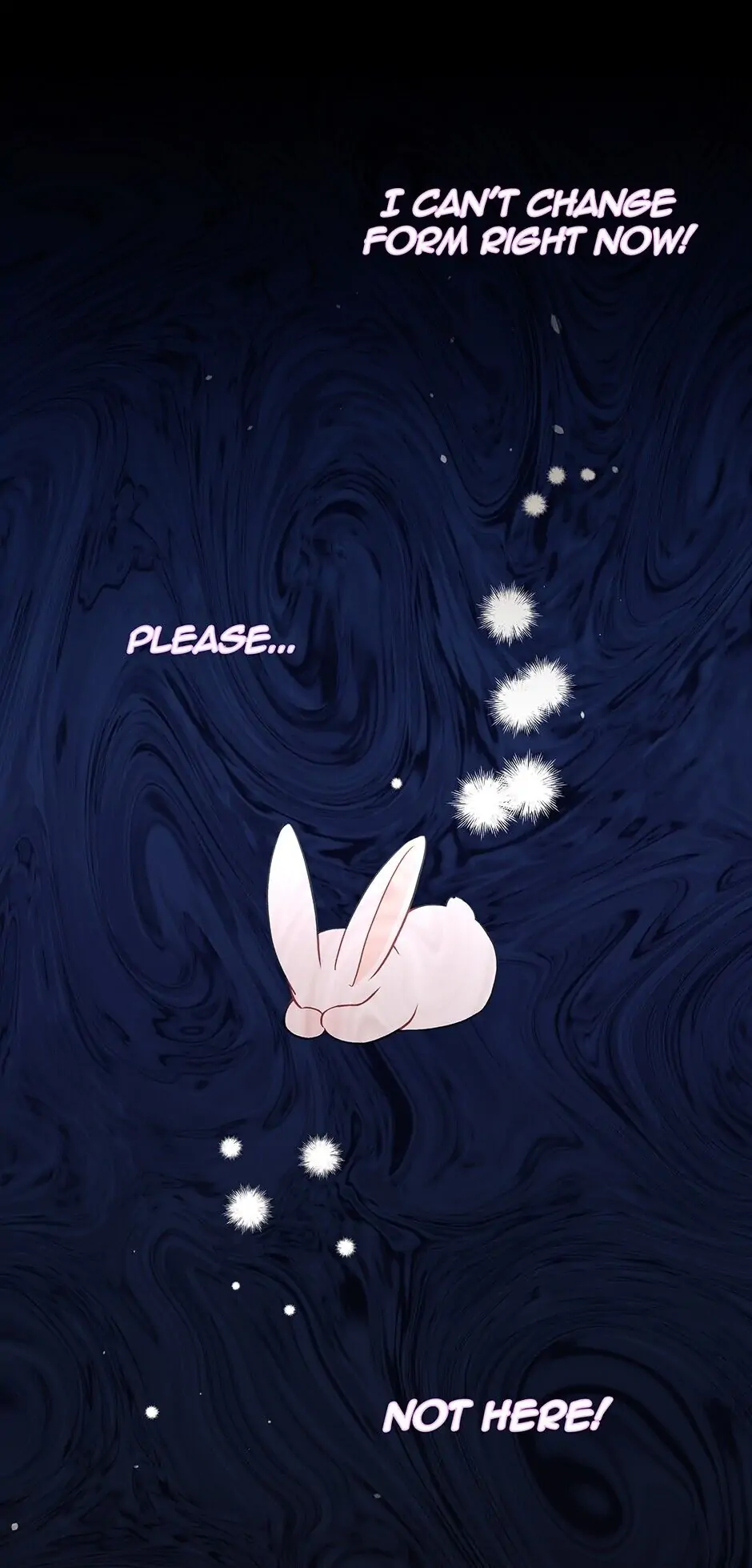 Read The Symbiotic Relationship Between the Rabbit and the Black Panther En Manga Online