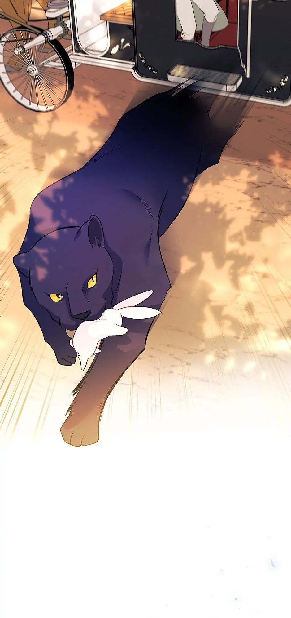 Read The Symbiotic Relationship Between the Rabbit and the Black Panther En Manga Online