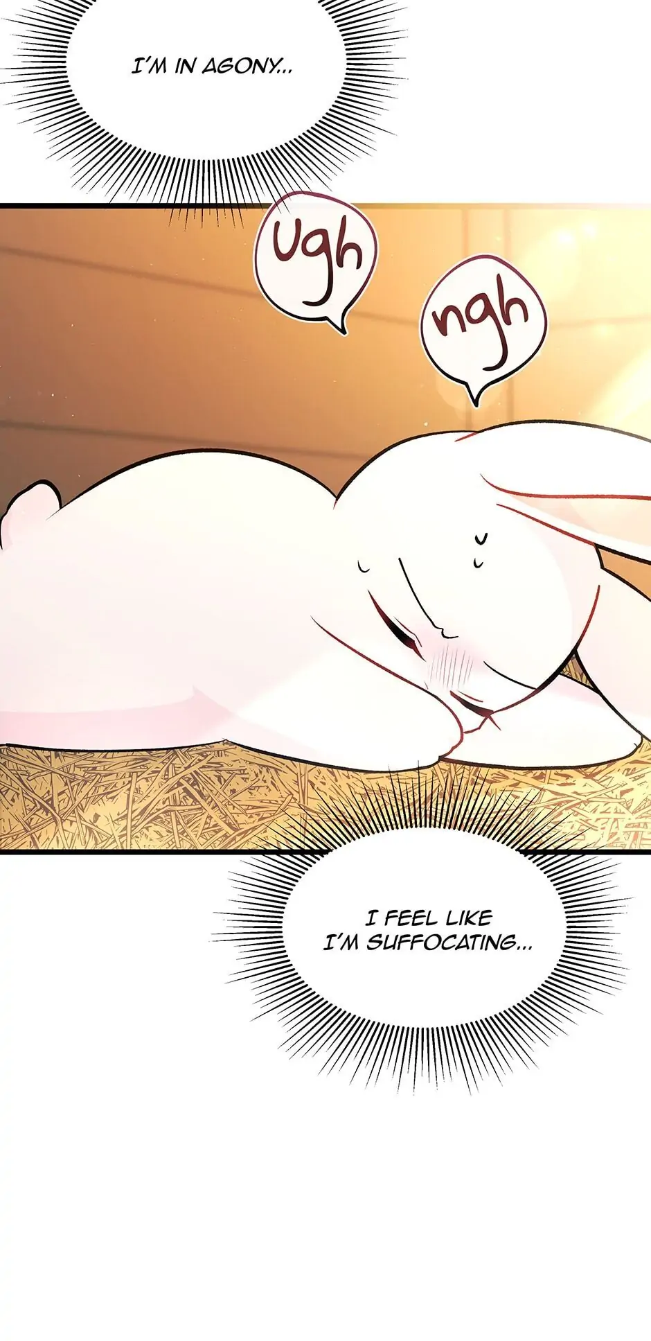 Read The Symbiotic Relationship Between the Rabbit and the Black Panther En Manga Online