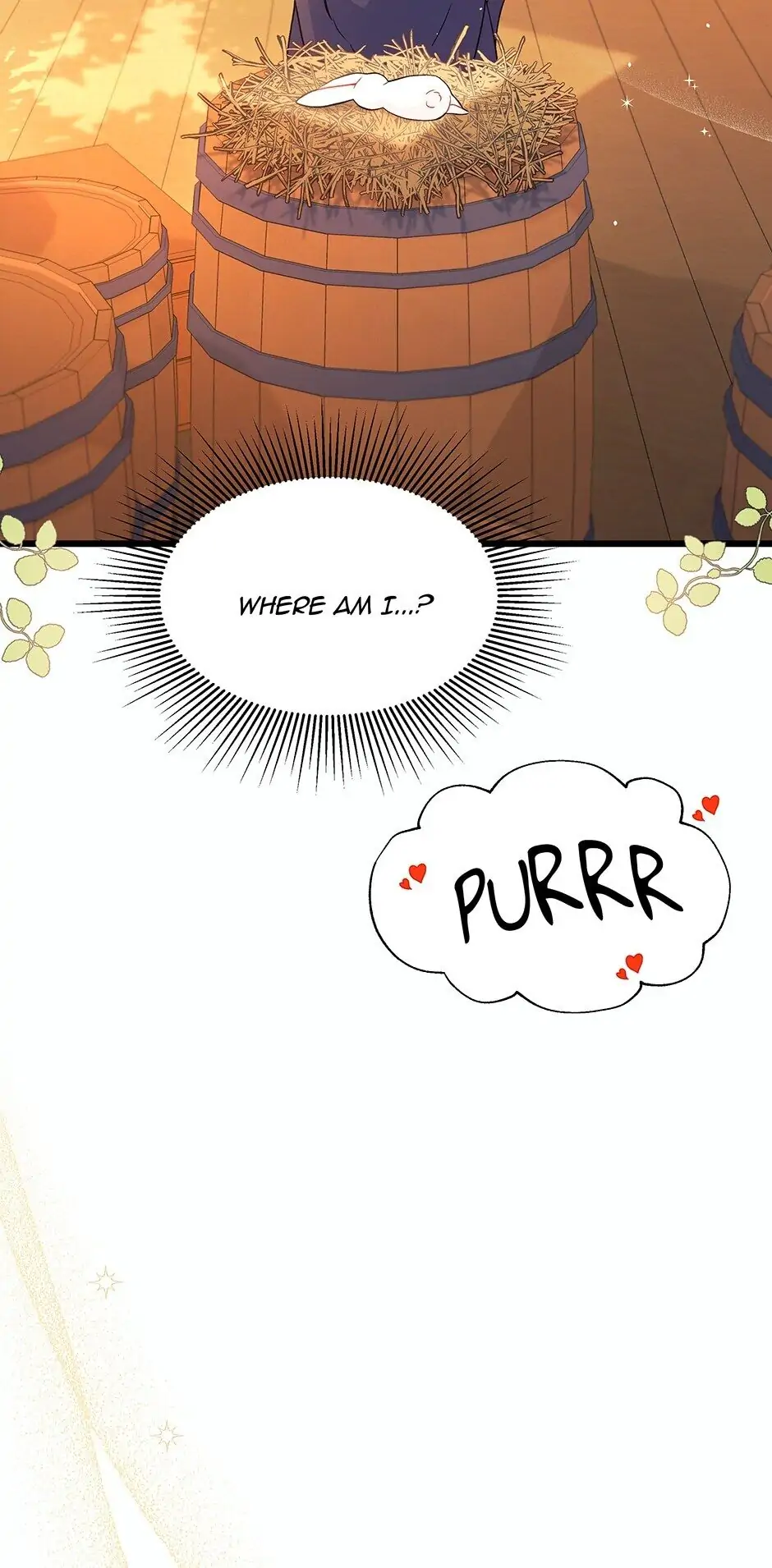 Read The Symbiotic Relationship Between the Rabbit and the Black Panther En Manga Online