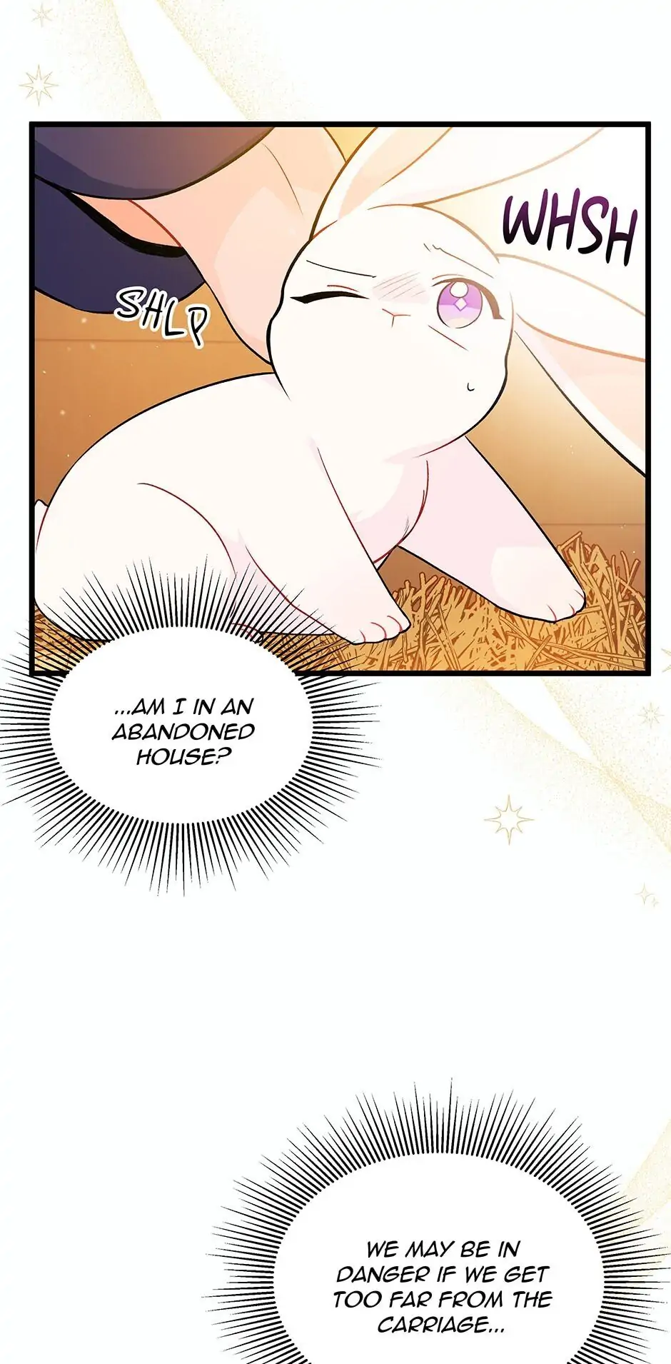 Read The Symbiotic Relationship Between the Rabbit and the Black Panther En Manga Online
