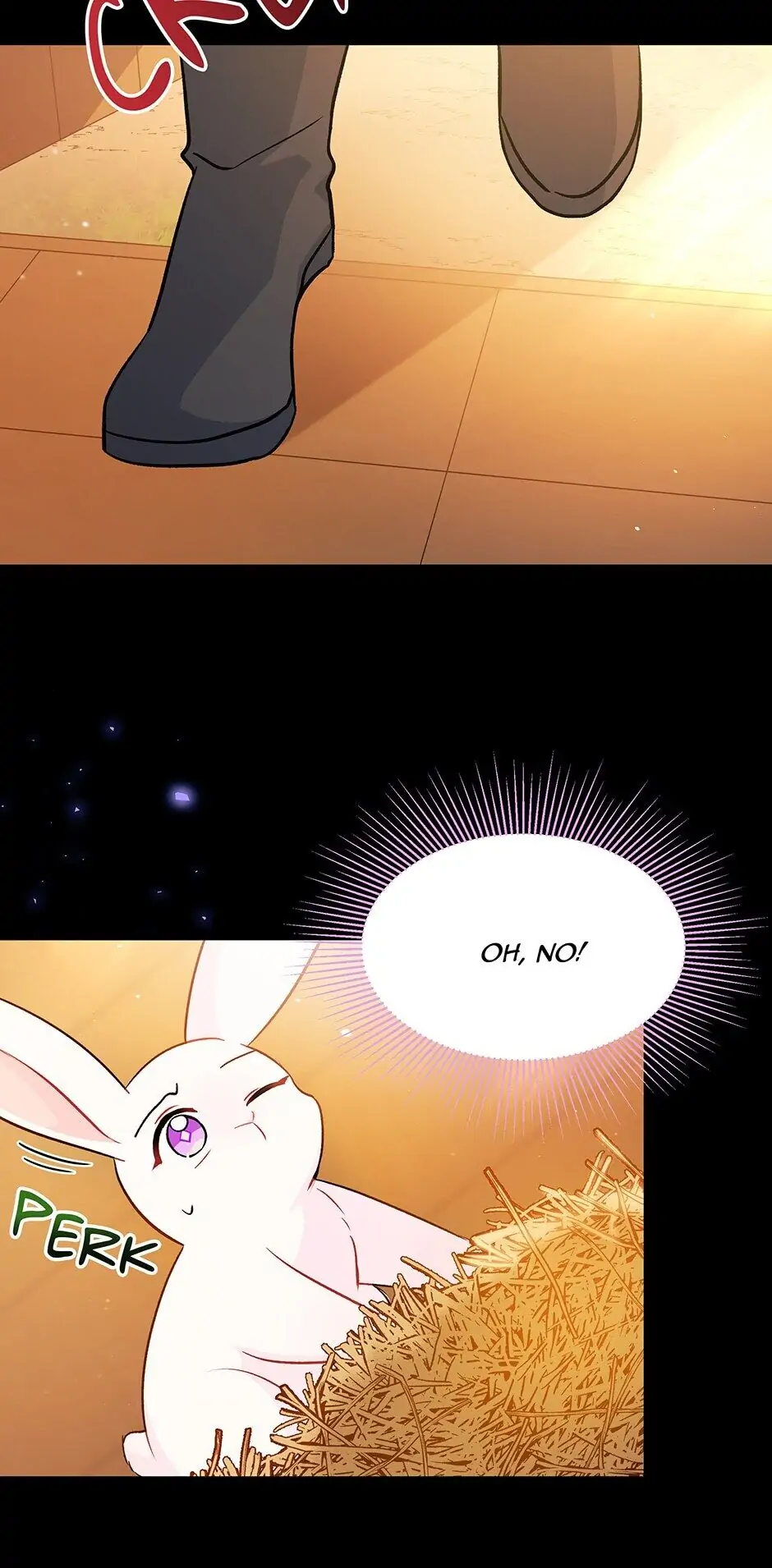 Read The Symbiotic Relationship Between the Rabbit and the Black Panther En Manga Online