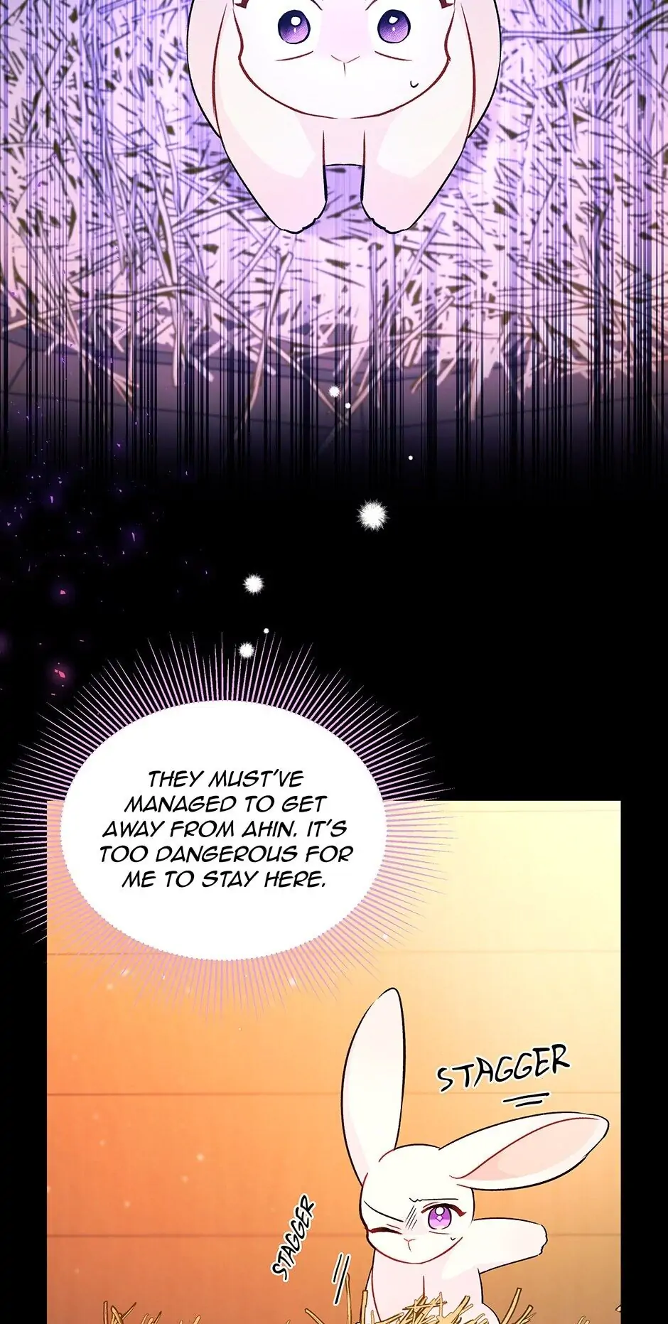 Read The Symbiotic Relationship Between the Rabbit and the Black Panther En Manga Online