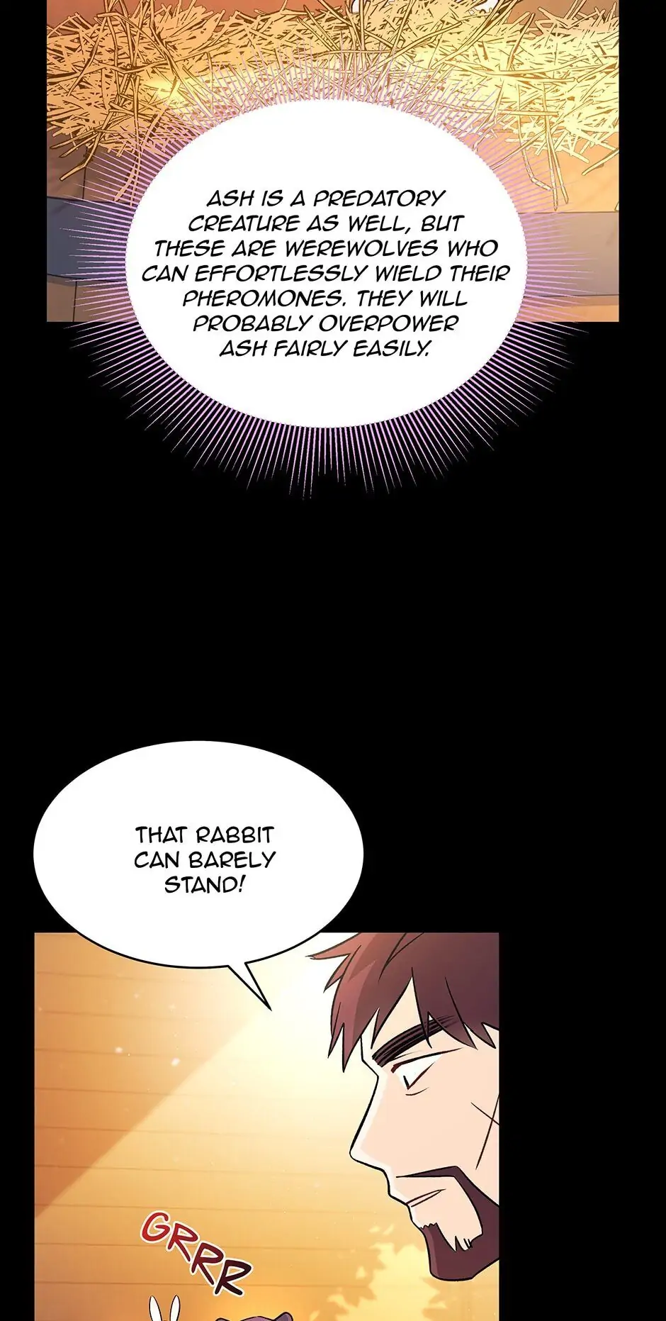 Read The Symbiotic Relationship Between the Rabbit and the Black Panther En Manga Online