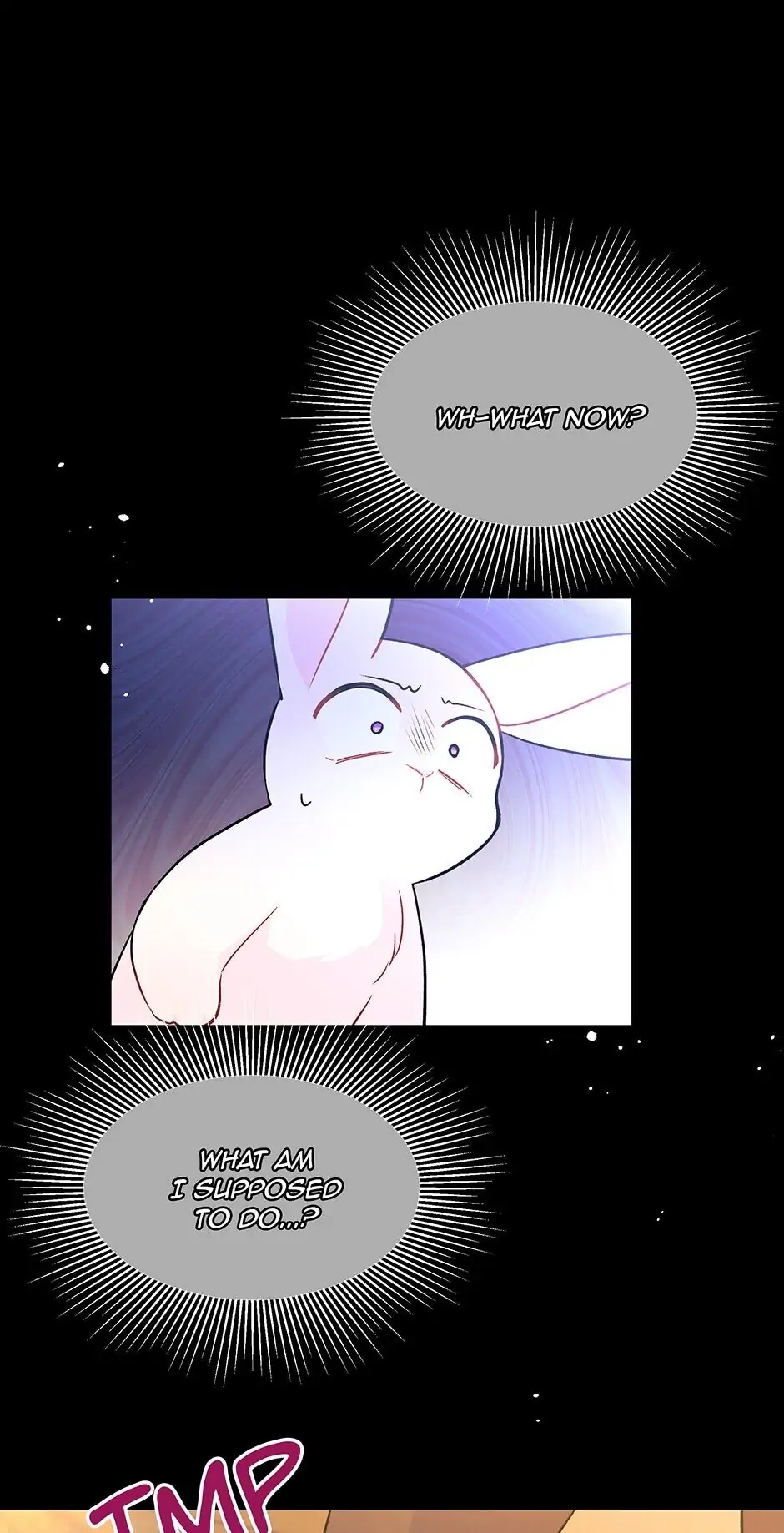 Read The Symbiotic Relationship Between the Rabbit and the Black Panther En Manga Online