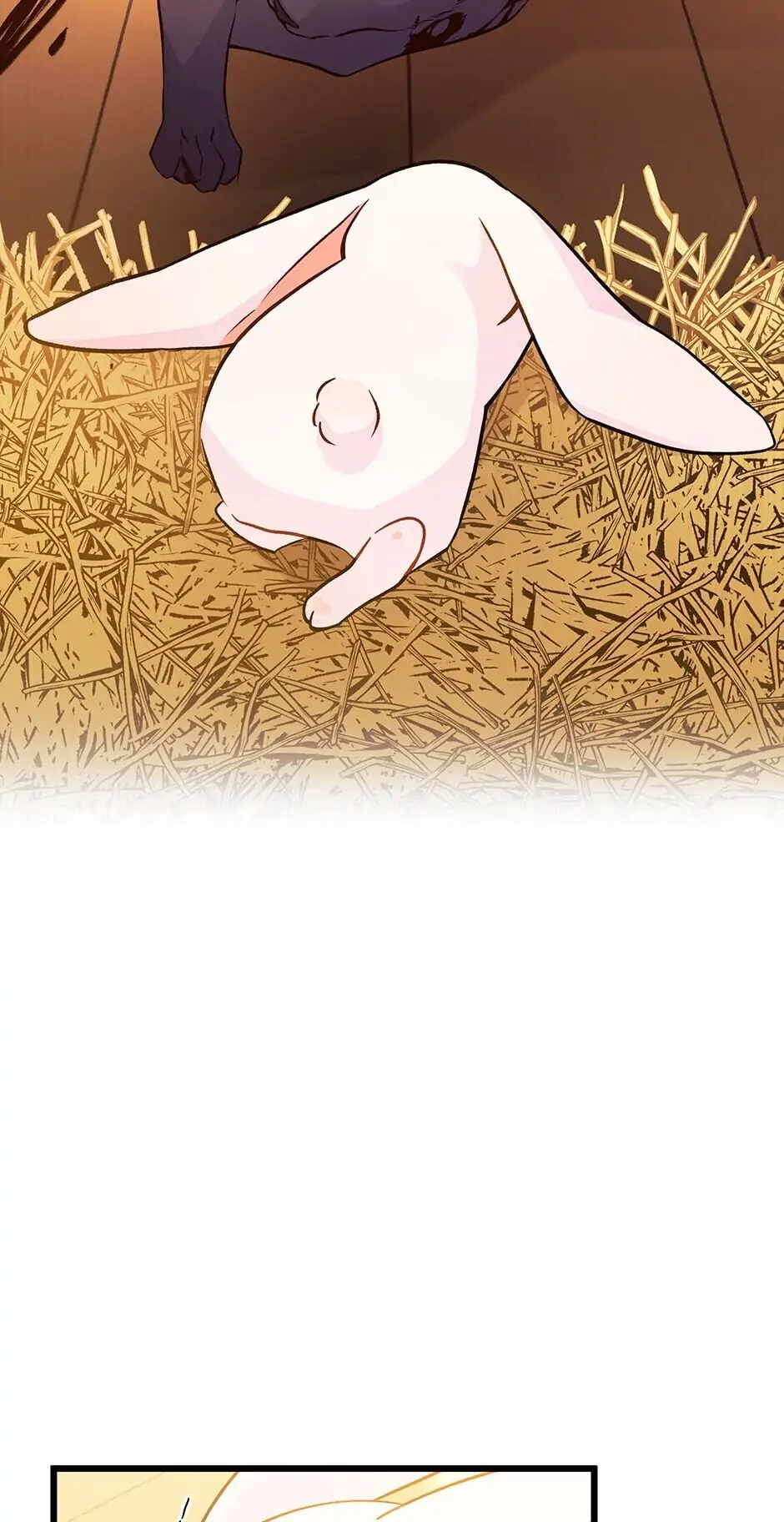 Read The Symbiotic Relationship Between the Rabbit and the Black Panther En Manga Online