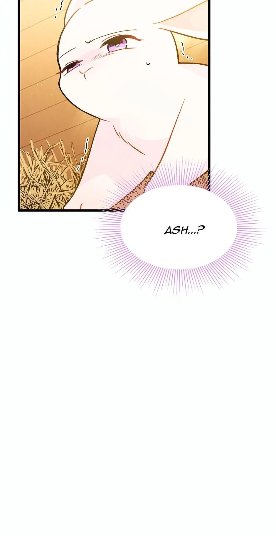 Read The Symbiotic Relationship Between the Rabbit and the Black Panther En Manga Online