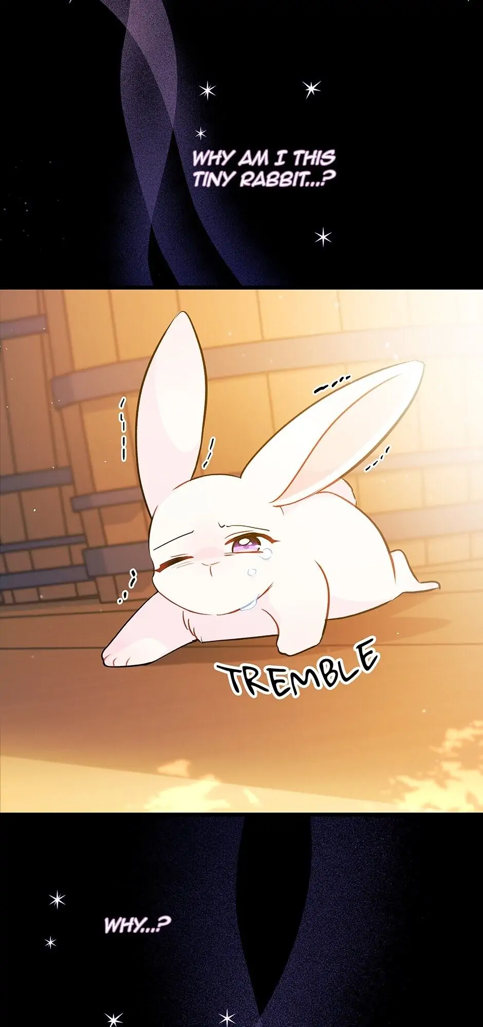 Read The Symbiotic Relationship Between the Rabbit and the Black Panther En Manga Online