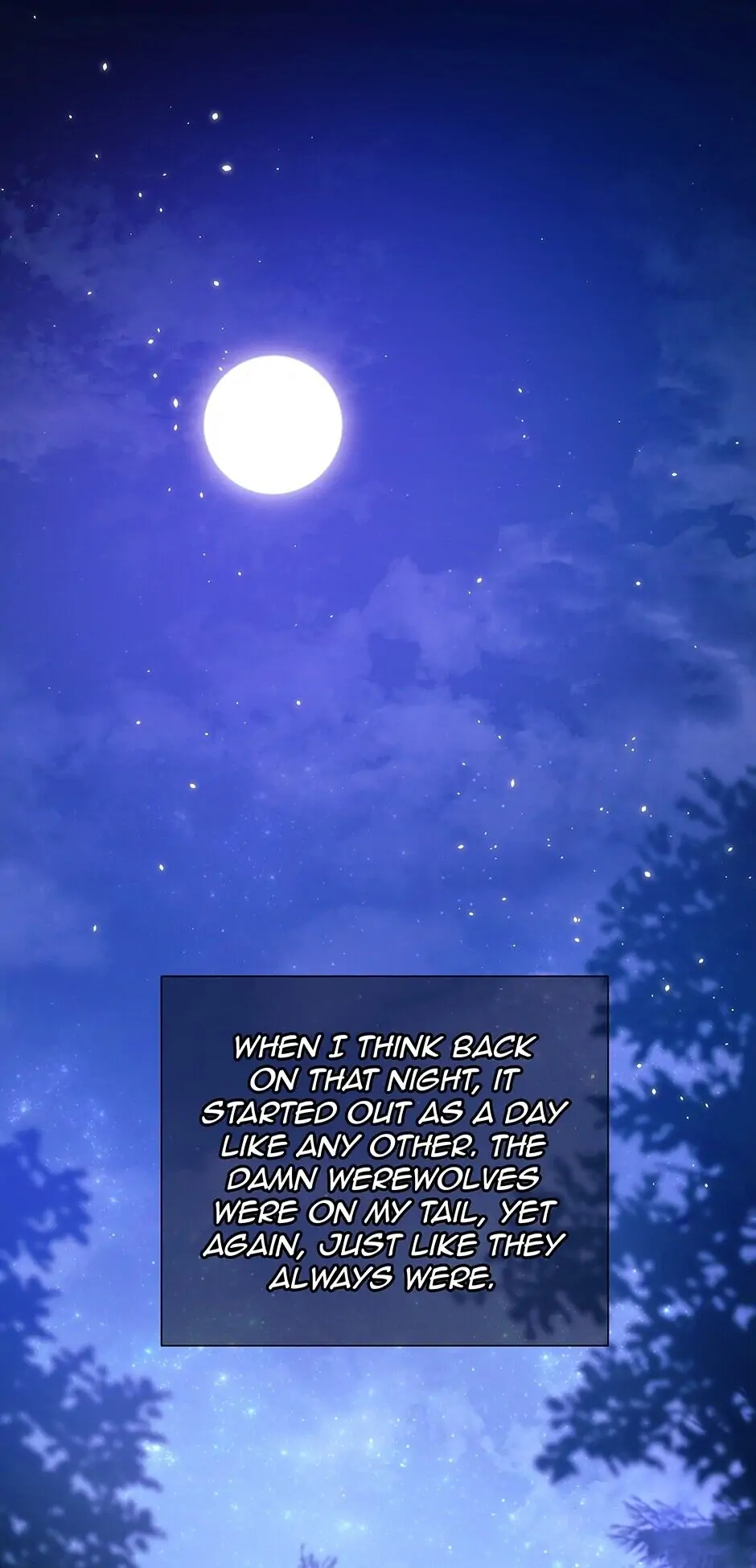Read The Symbiotic Relationship Between the Rabbit and the Black Panther En Manga Online