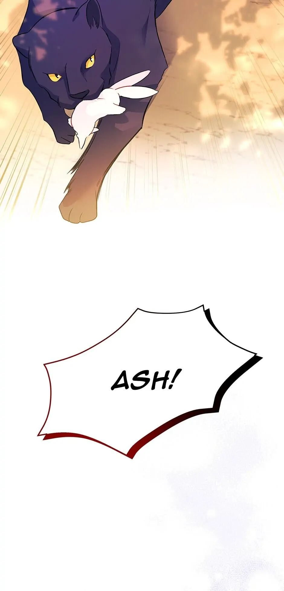 Read The Symbiotic Relationship Between the Rabbit and the Black Panther En Manga Online