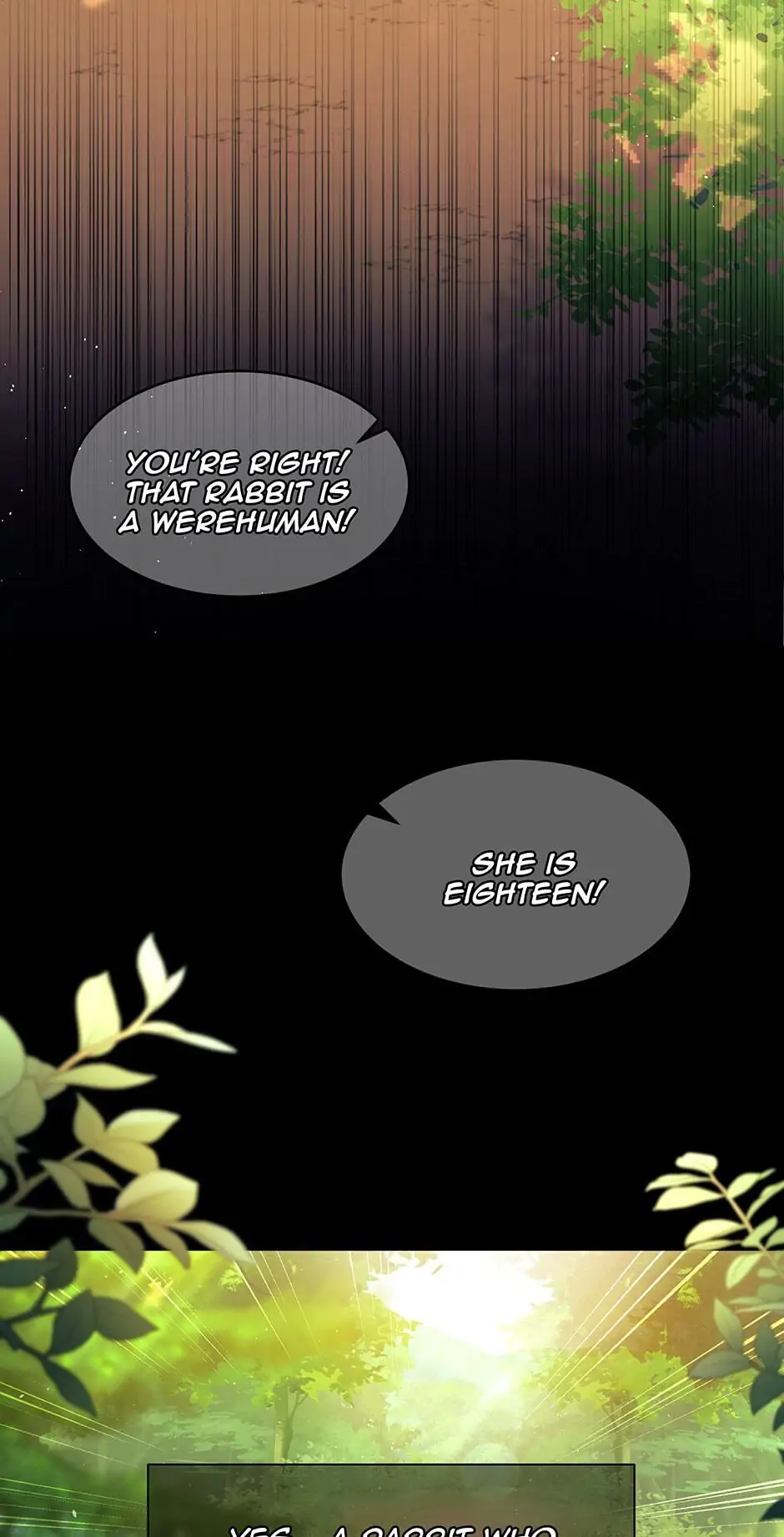 Read The Symbiotic Relationship Between the Rabbit and the Black Panther En Manga Online
