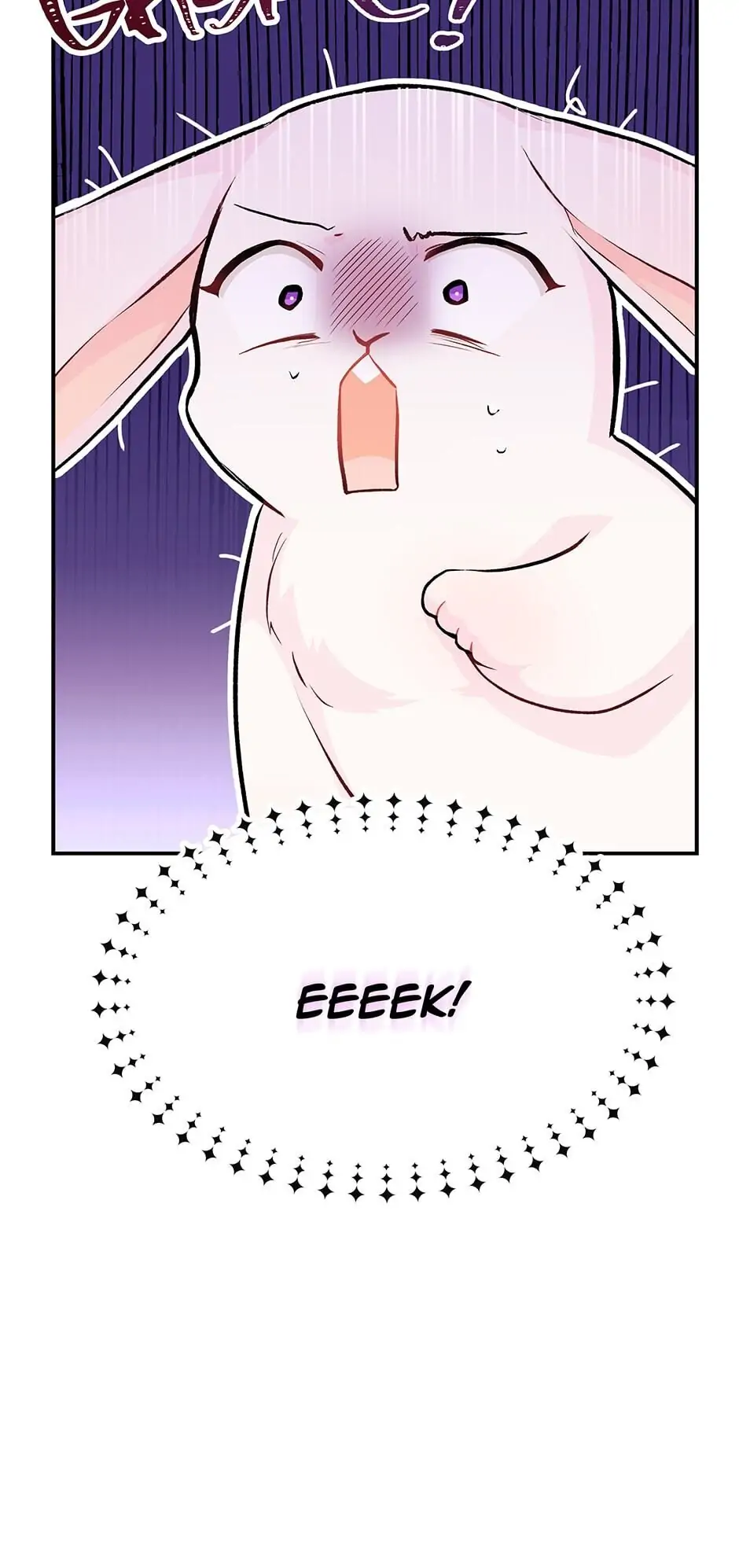 Read The Symbiotic Relationship Between the Rabbit and the Black Panther En Manga Online