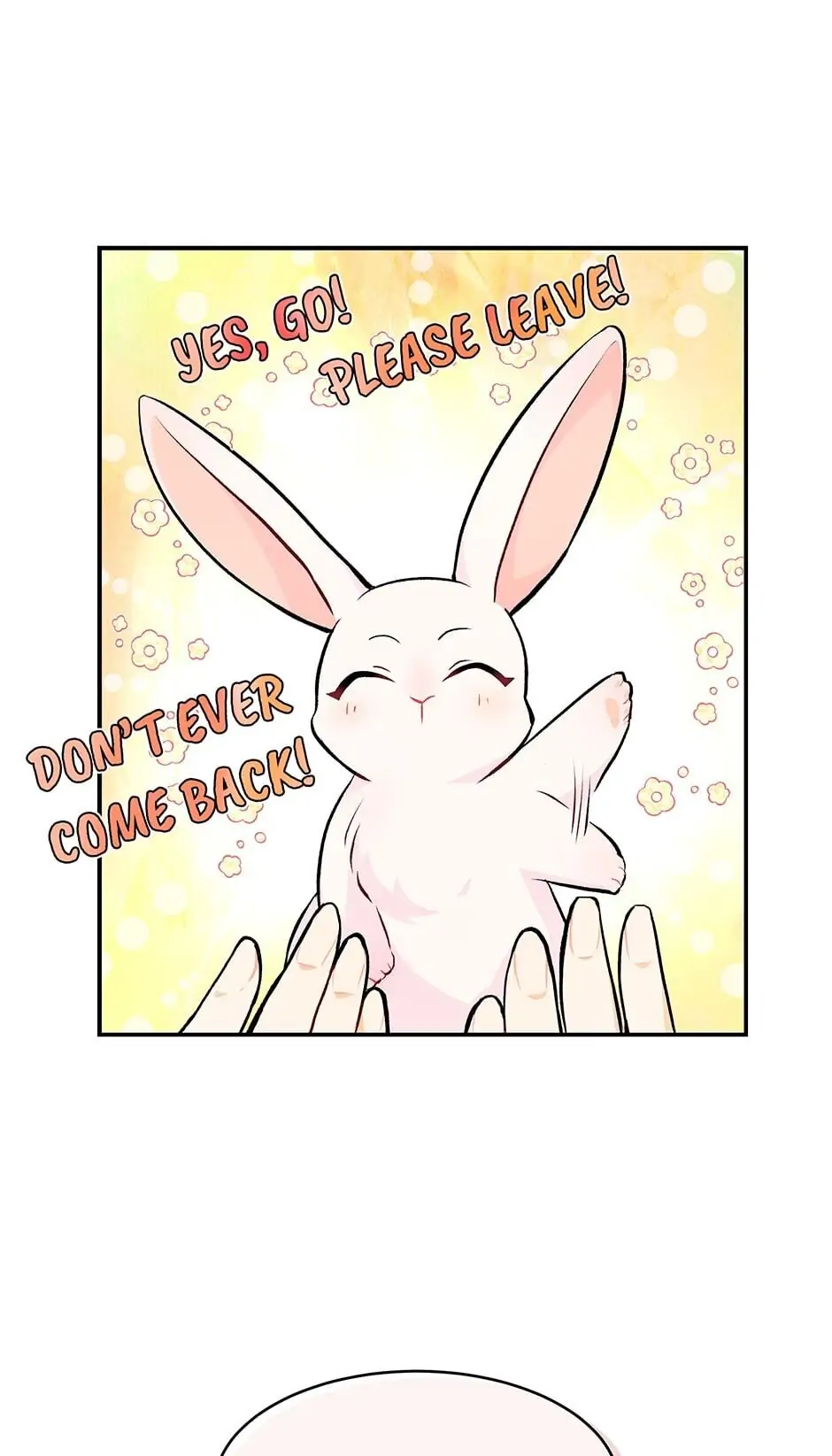Read The Symbiotic Relationship Between the Rabbit and the Black Panther En Manga Online