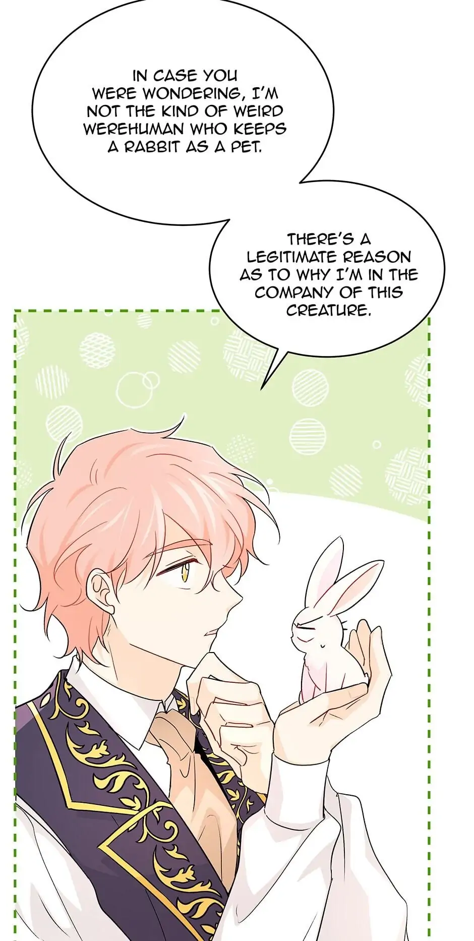 Read The Symbiotic Relationship Between the Rabbit and the Black Panther En Manga Online