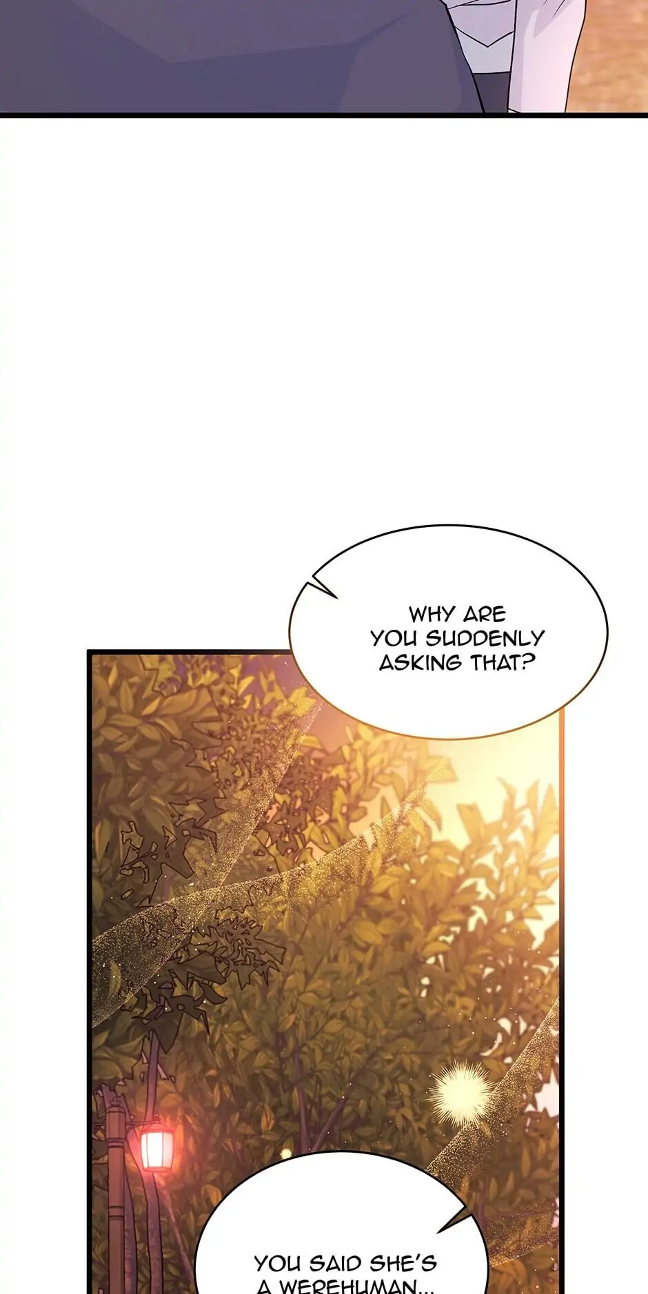 Read The Symbiotic Relationship Between the Rabbit and the Black Panther En Manga Online
