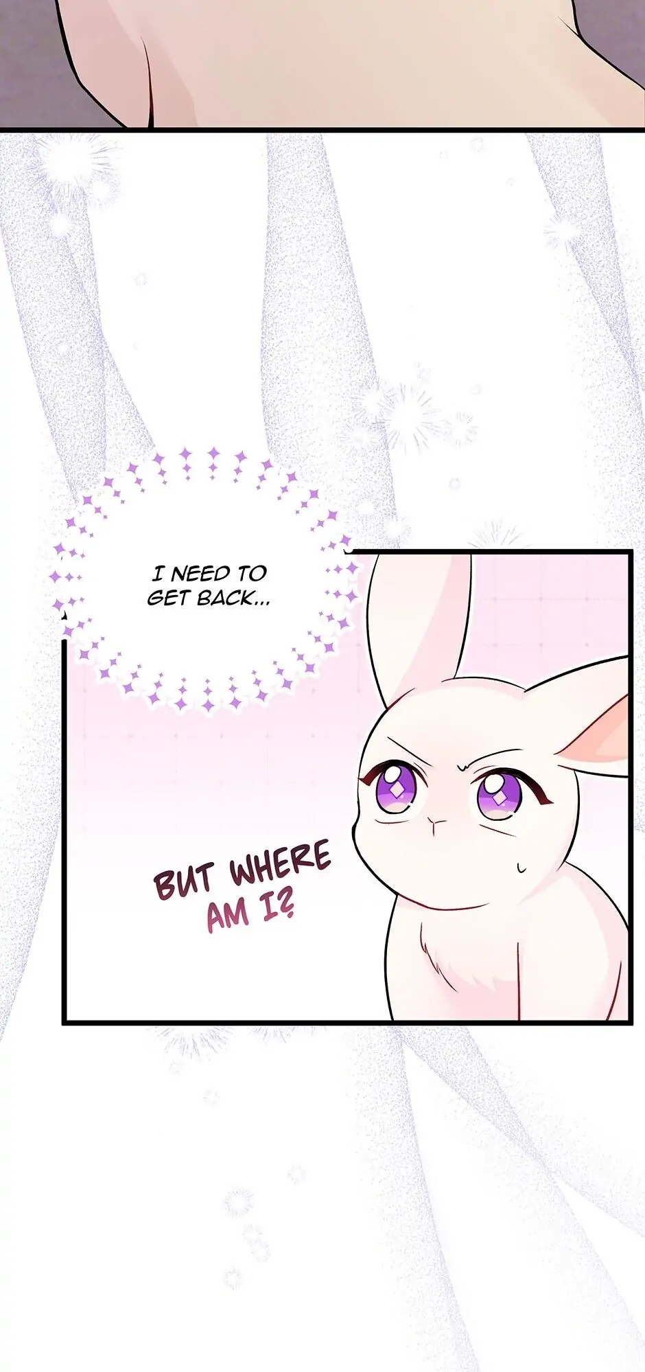 Read The Symbiotic Relationship Between the Rabbit and the Black Panther En Manga Online