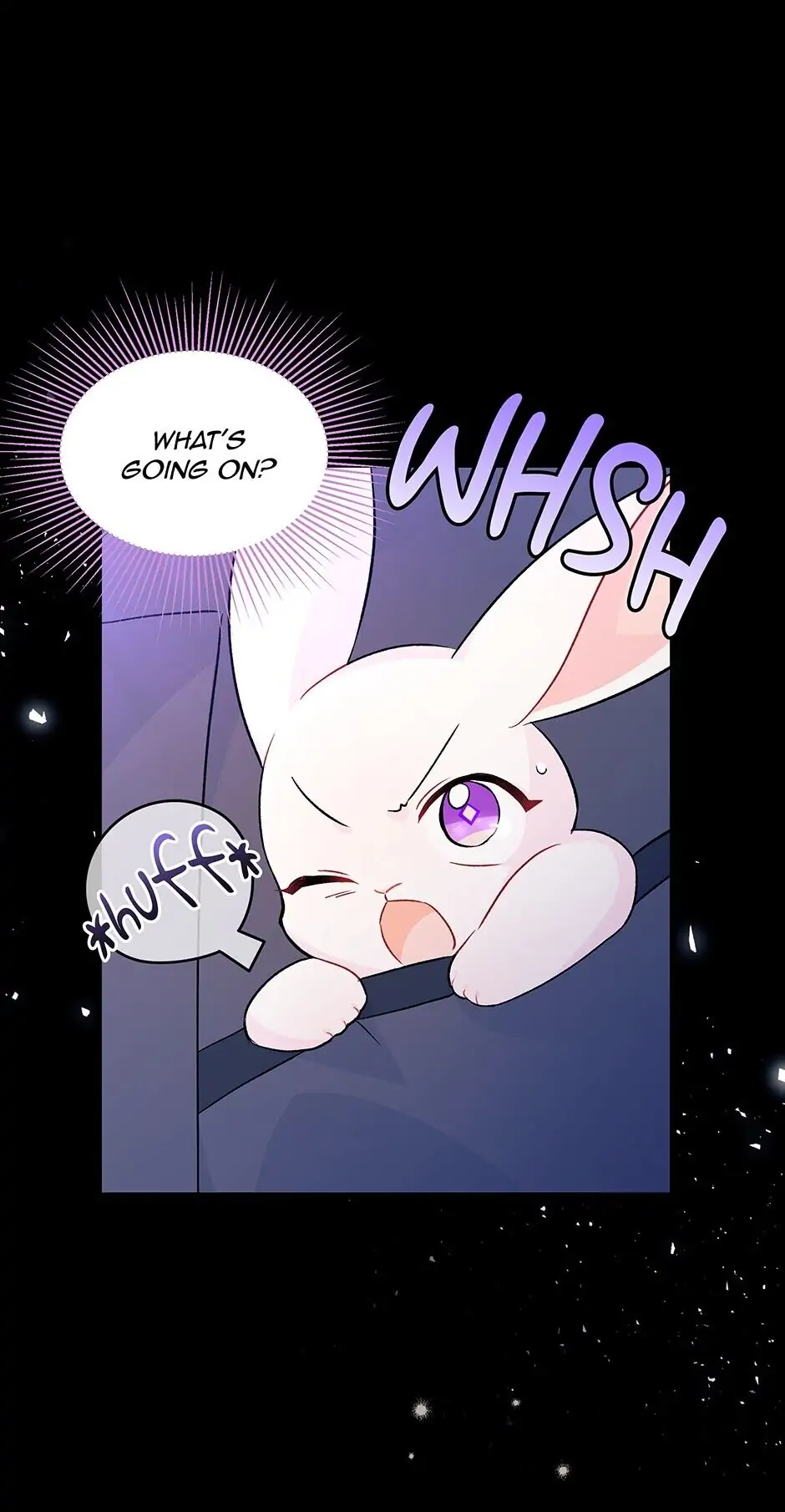 Read The Symbiotic Relationship Between the Rabbit and the Black Panther En Manga Online