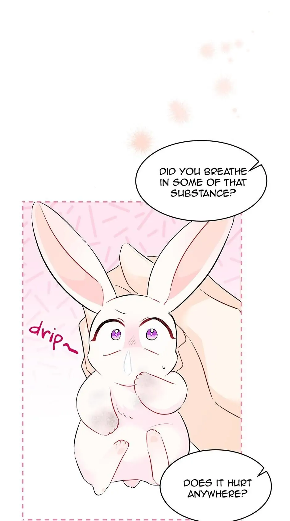 Read The Symbiotic Relationship Between the Rabbit and the Black Panther En Manga Online