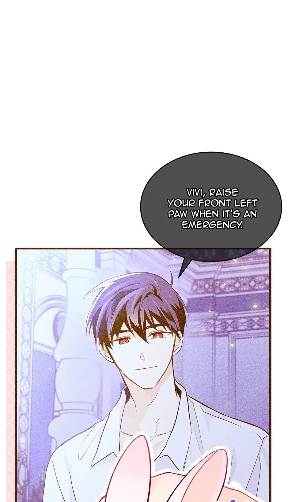 Read The Symbiotic Relationship Between the Rabbit and the Black Panther En Manga Online