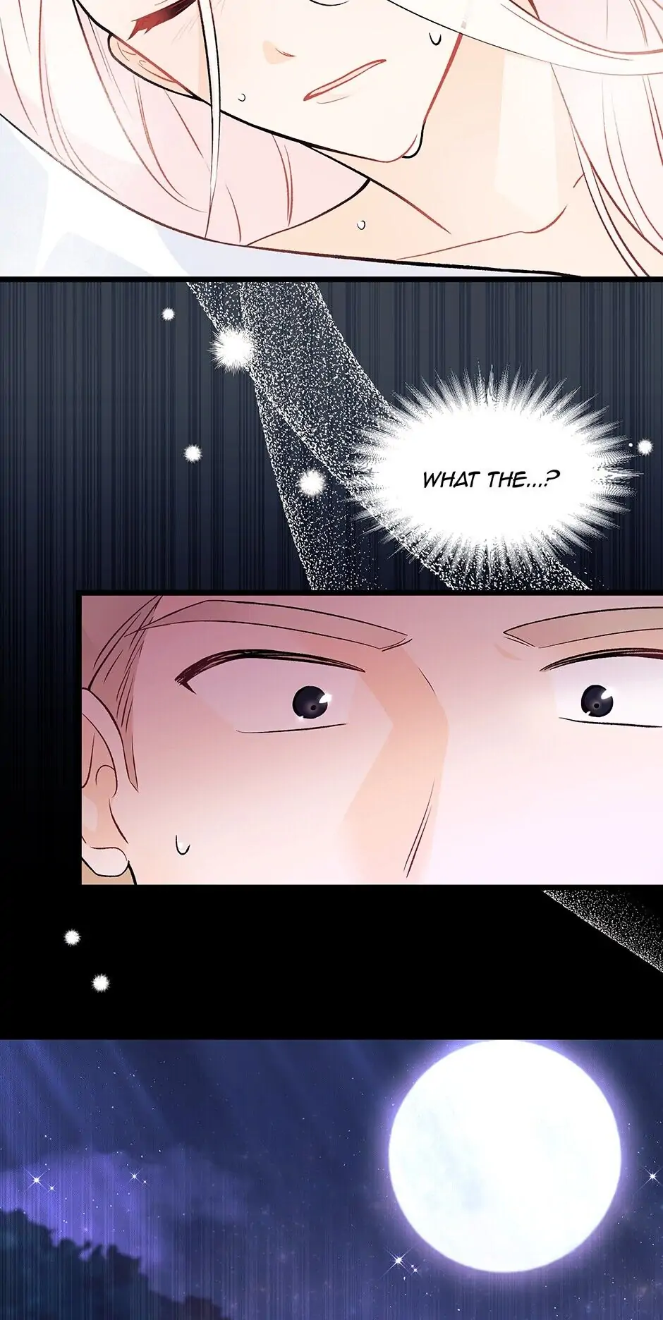 Read The Symbiotic Relationship Between the Rabbit and the Black Panther En Manga Online