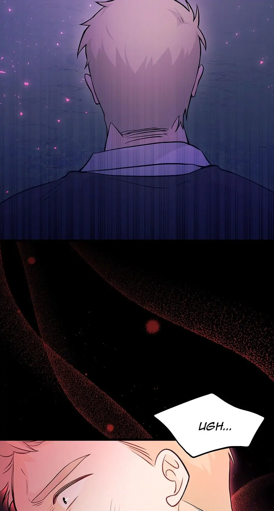 Read The Symbiotic Relationship Between the Rabbit and the Black Panther En Manga Online