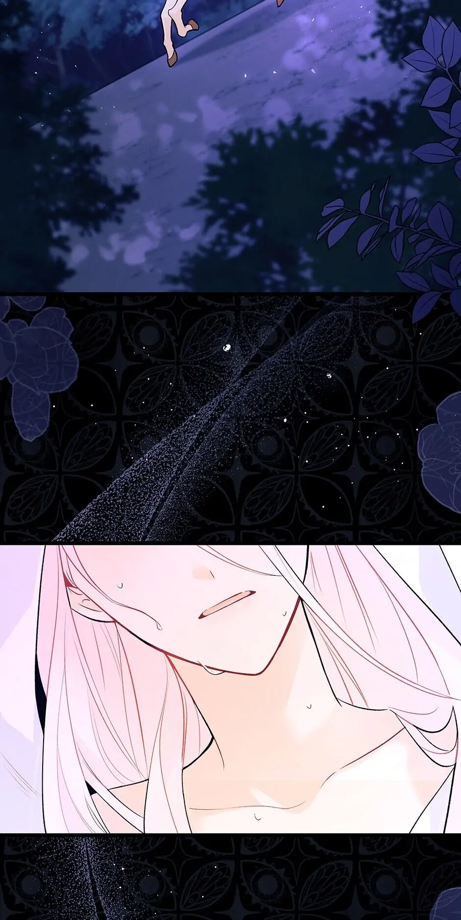 Read The Symbiotic Relationship Between the Rabbit and the Black Panther En Manga Online