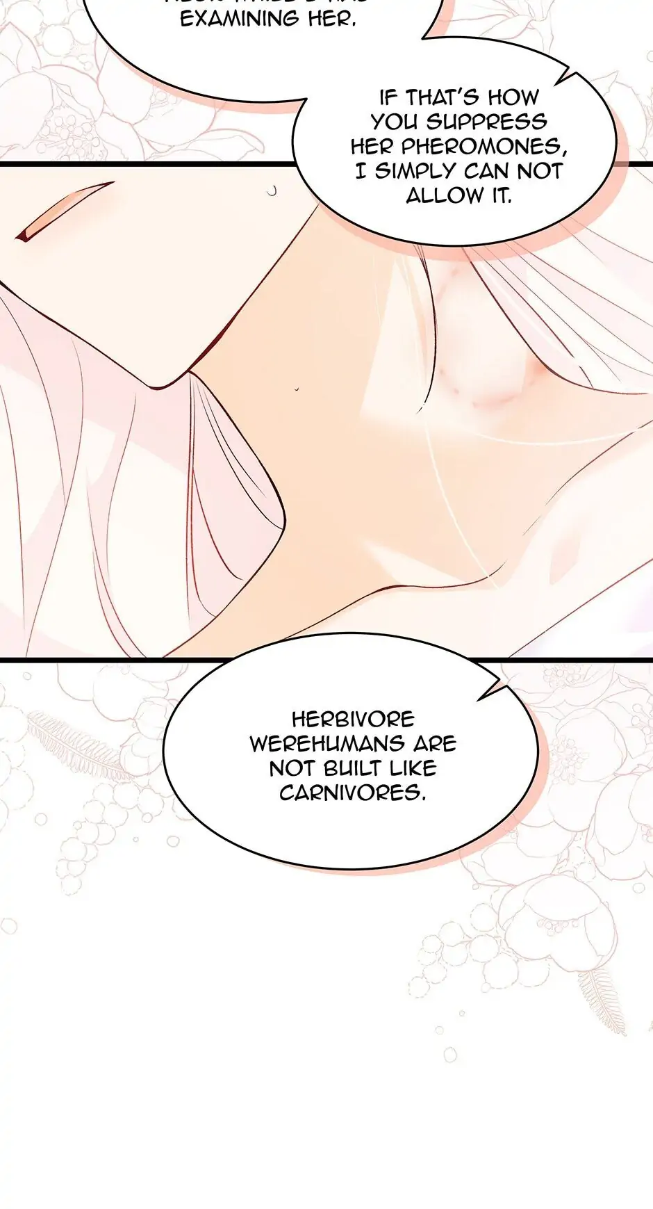 Read The Symbiotic Relationship Between the Rabbit and the Black Panther En Manga Online