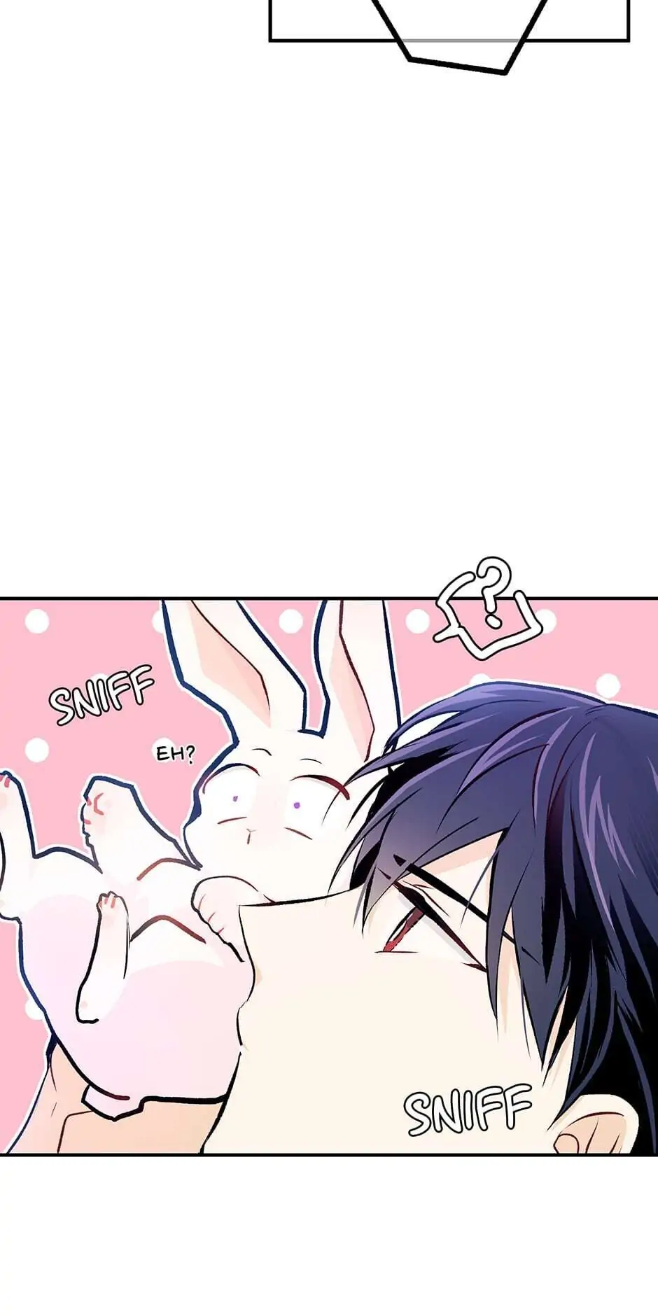 Read The Symbiotic Relationship Between the Rabbit and the Black Panther En Manga Online