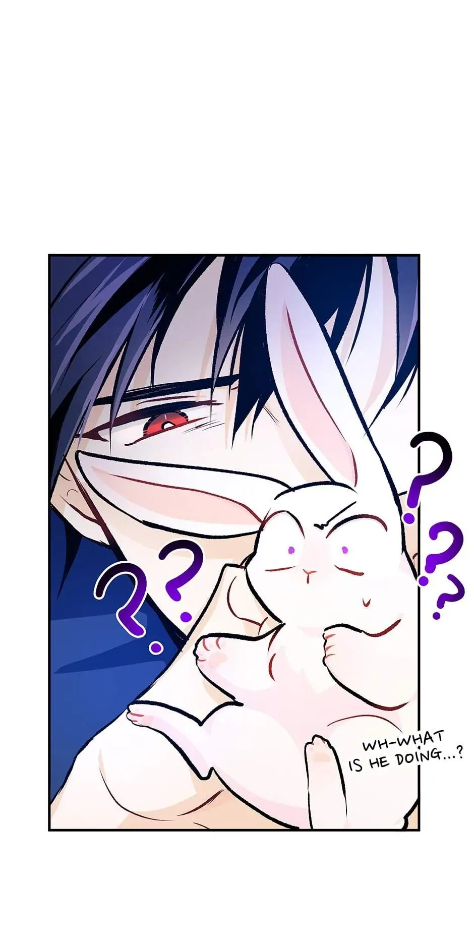 Read The Symbiotic Relationship Between the Rabbit and the Black Panther En Manga Online
