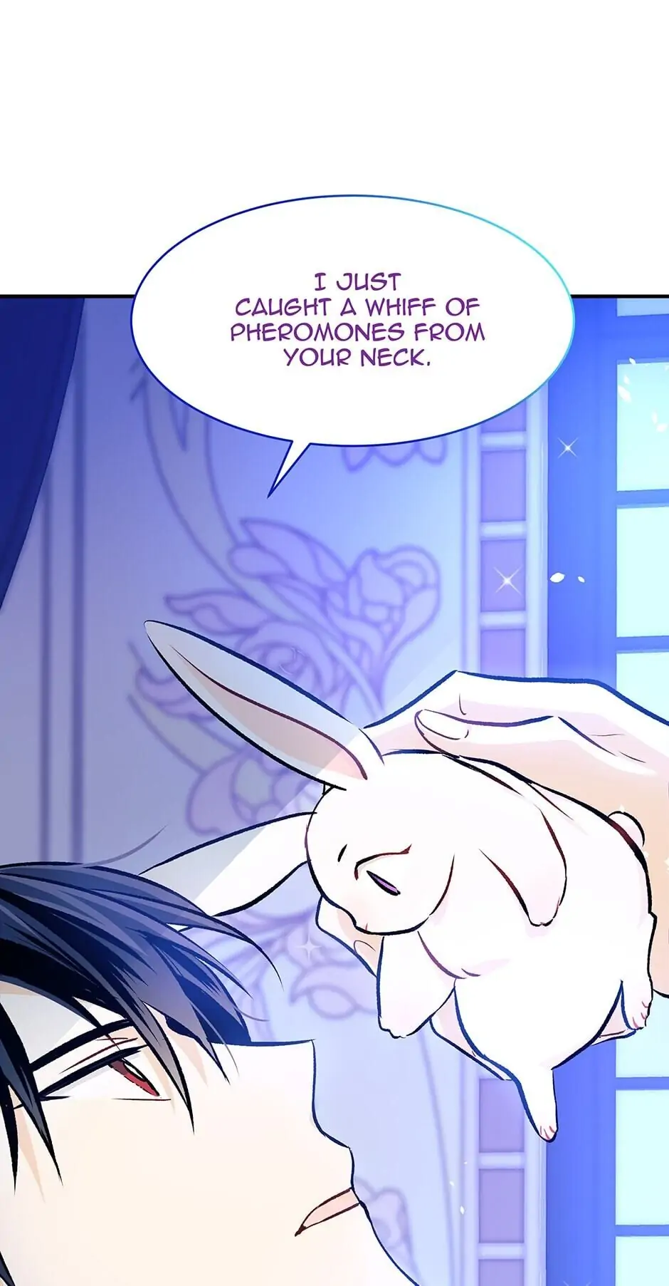 Read The Symbiotic Relationship Between the Rabbit and the Black Panther En Manga Online