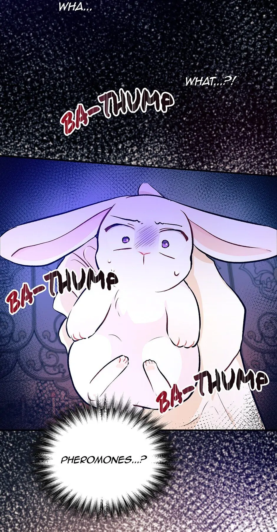 Read The Symbiotic Relationship Between the Rabbit and the Black Panther En Manga Online