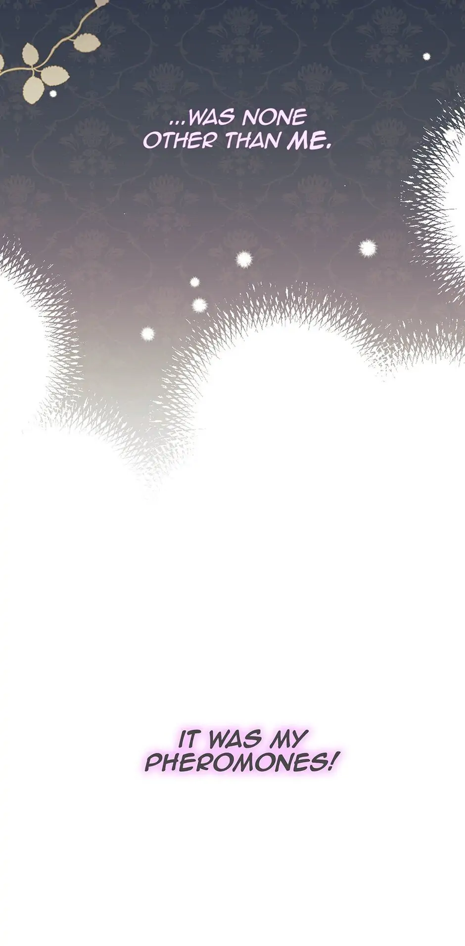 Read The Symbiotic Relationship Between the Rabbit and the Black Panther En Manga Online