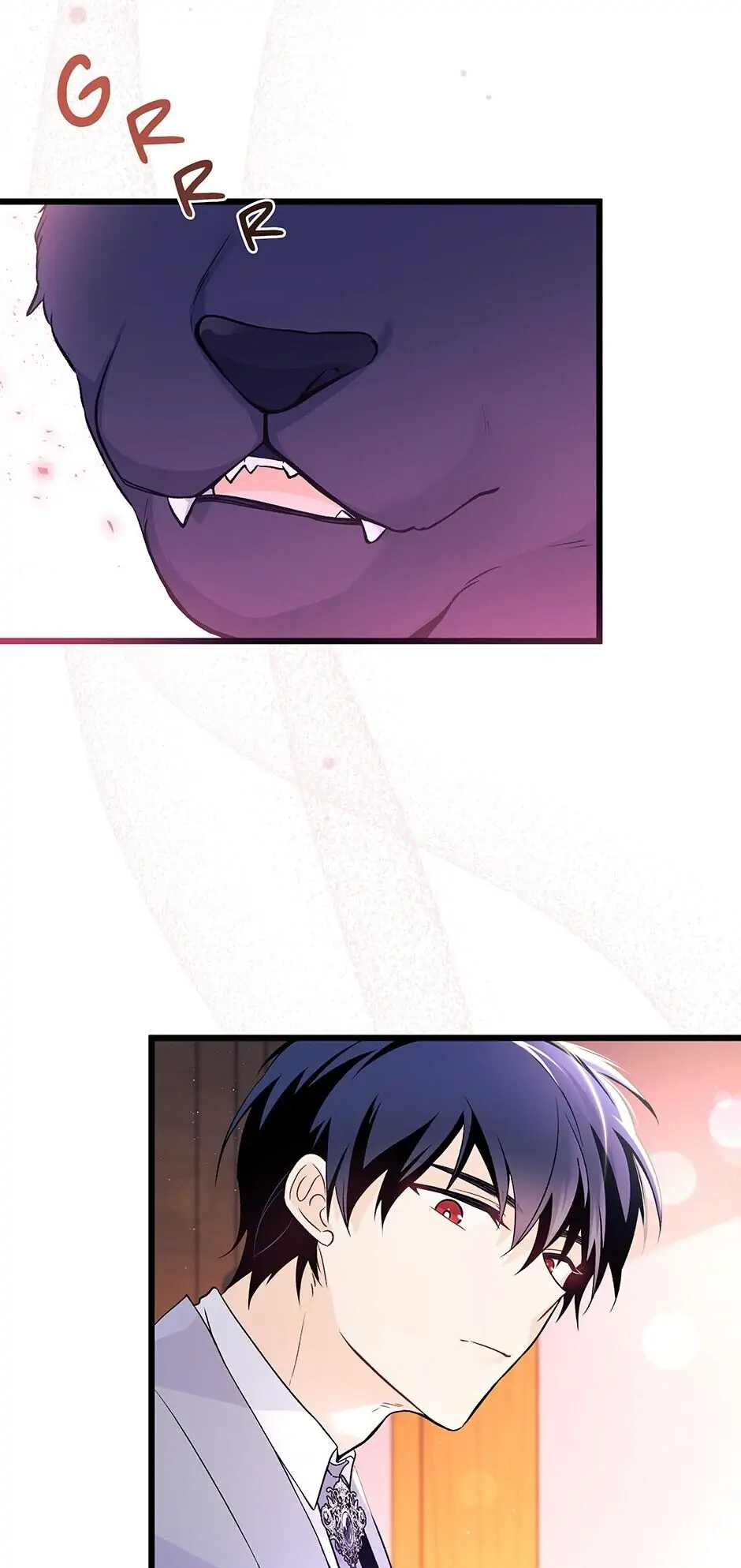 Read The Symbiotic Relationship Between the Rabbit and the Black Panther En Manga Online