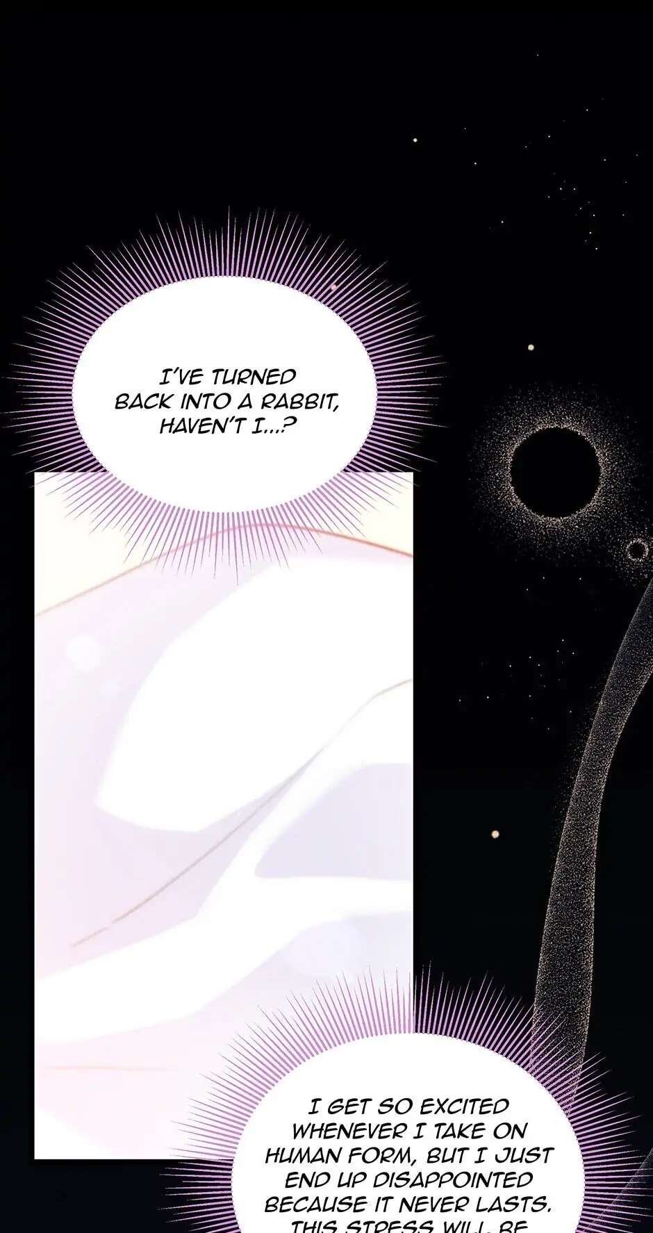 Read The Symbiotic Relationship Between the Rabbit and the Black Panther En Manga Online