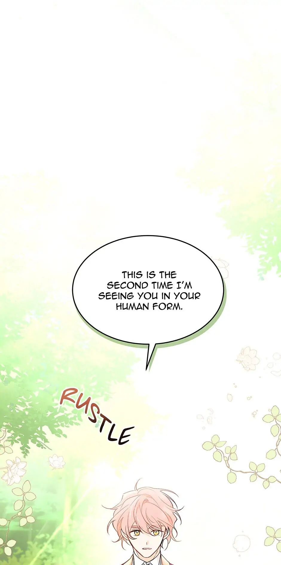Read The Symbiotic Relationship Between the Rabbit and the Black Panther En Manga Online