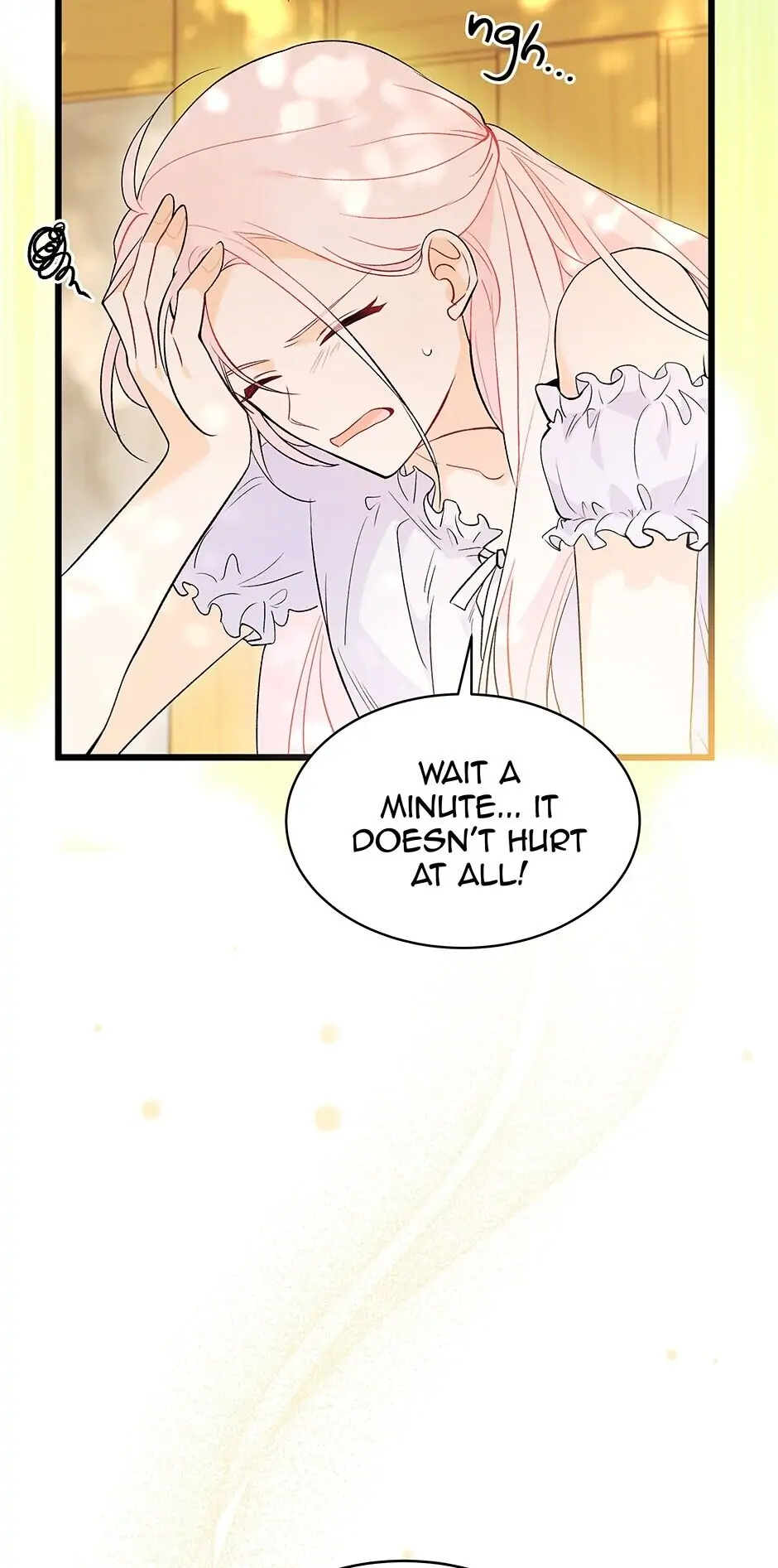 Read The Symbiotic Relationship Between the Rabbit and the Black Panther En Manga Online