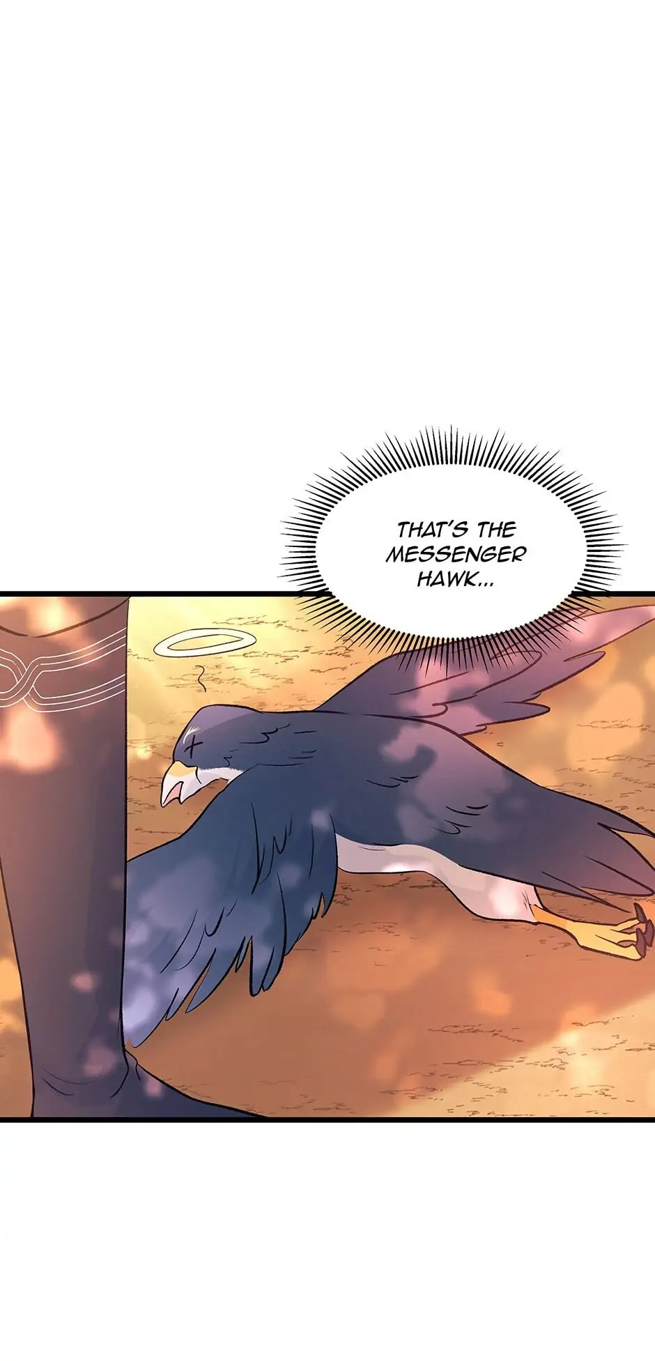 Read The Symbiotic Relationship Between the Rabbit and the Black Panther En Manga Online