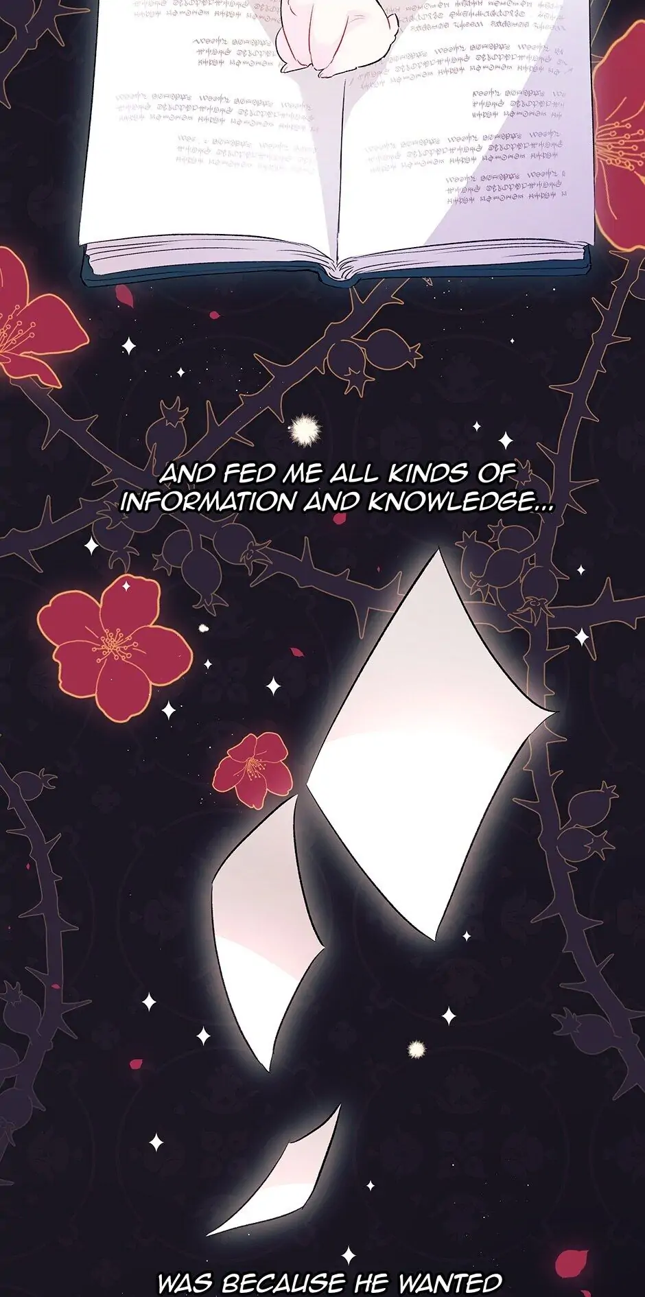 Read The Symbiotic Relationship Between the Rabbit and the Black Panther En Manga Online