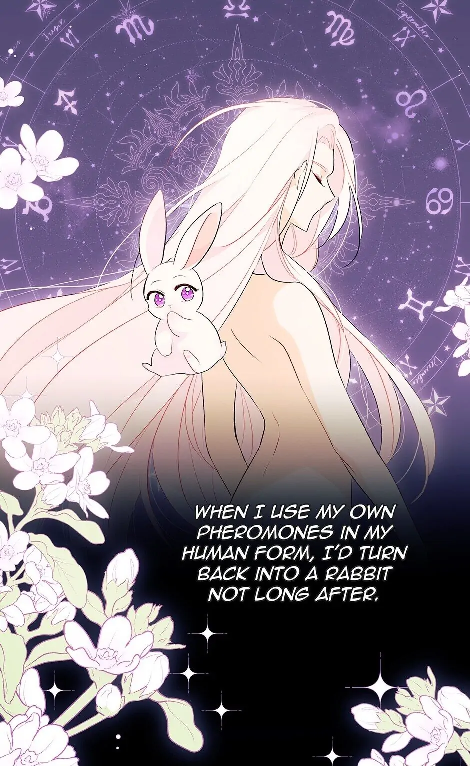 Read The Symbiotic Relationship Between the Rabbit and the Black Panther En Manga Online