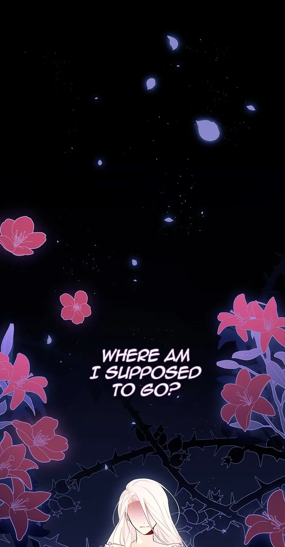 Read The Symbiotic Relationship Between the Rabbit and the Black Panther En Manga Online