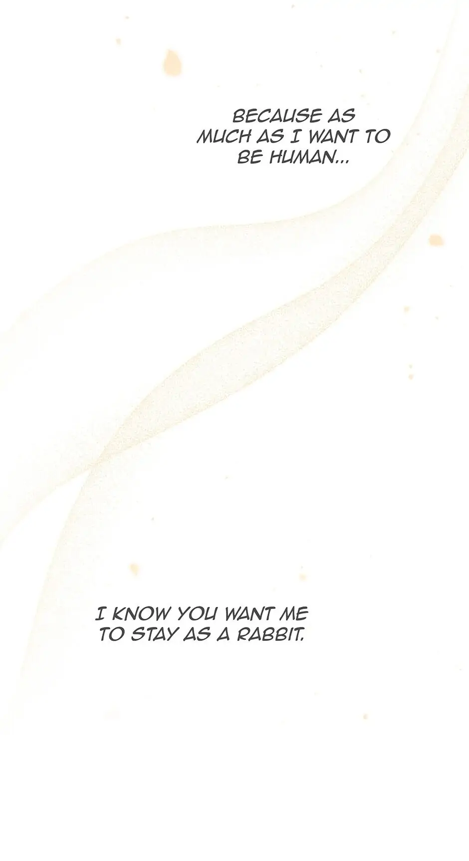 Read The Symbiotic Relationship Between the Rabbit and the Black Panther En Manga Online