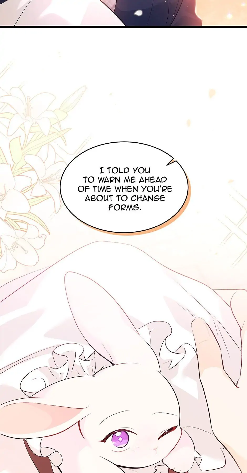 Read The Symbiotic Relationship Between the Rabbit and the Black Panther En Manga Online