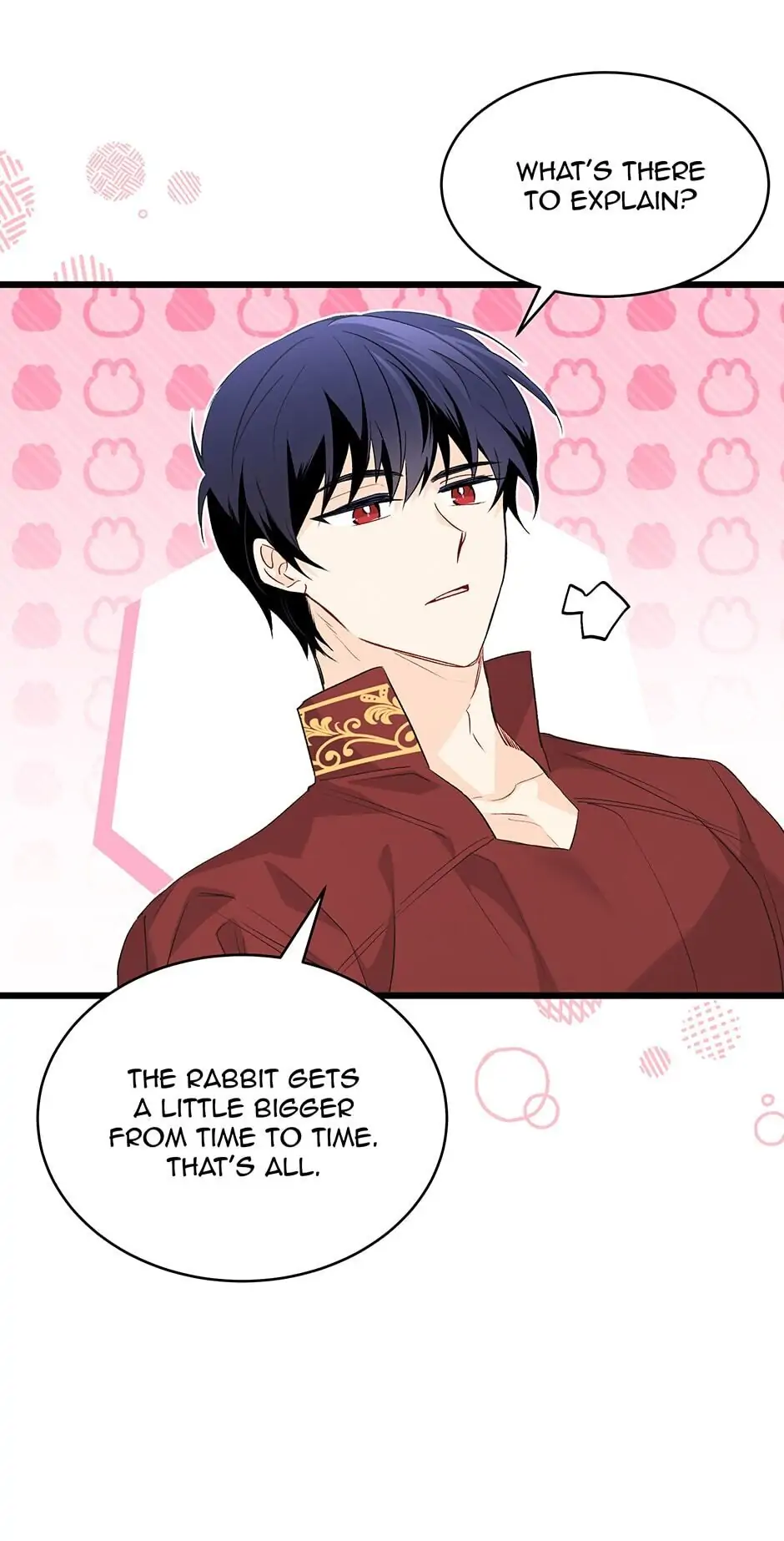 Read The Symbiotic Relationship Between the Rabbit and the Black Panther En Manga Online